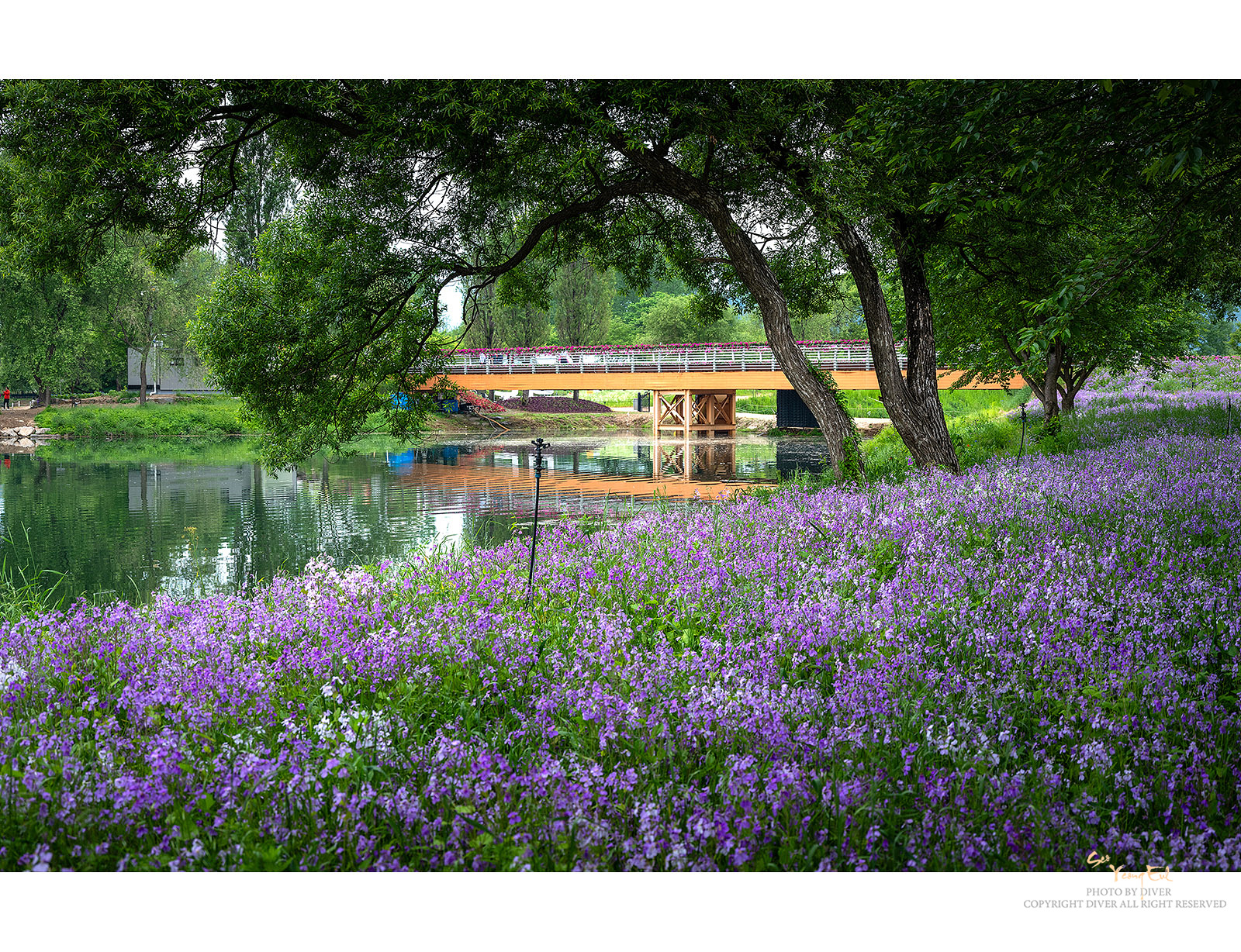 PHOTO BY  | GFX50S II | 2024:05:19 19:43:40 | ISO-100 | 1/125 sec | f 7.1 | 59.7 mm | EV=0 | ● WIDTH:1600 pixels  HEIGHT:1228 pixels