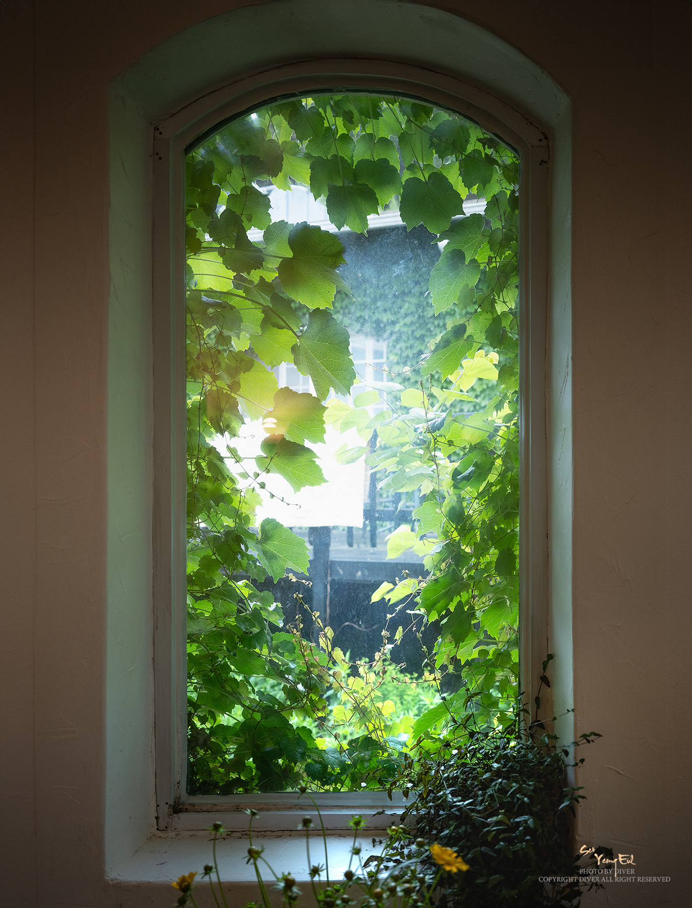 PHOTO BY  | GFX50S II | 2024:05:19 22:02:21 | ISO-640 | 1/80 sec | f 5.6 | 44.1 mm | EV=0 | ● WIDTH:1373 pixels  HEIGHT:1800 pixels