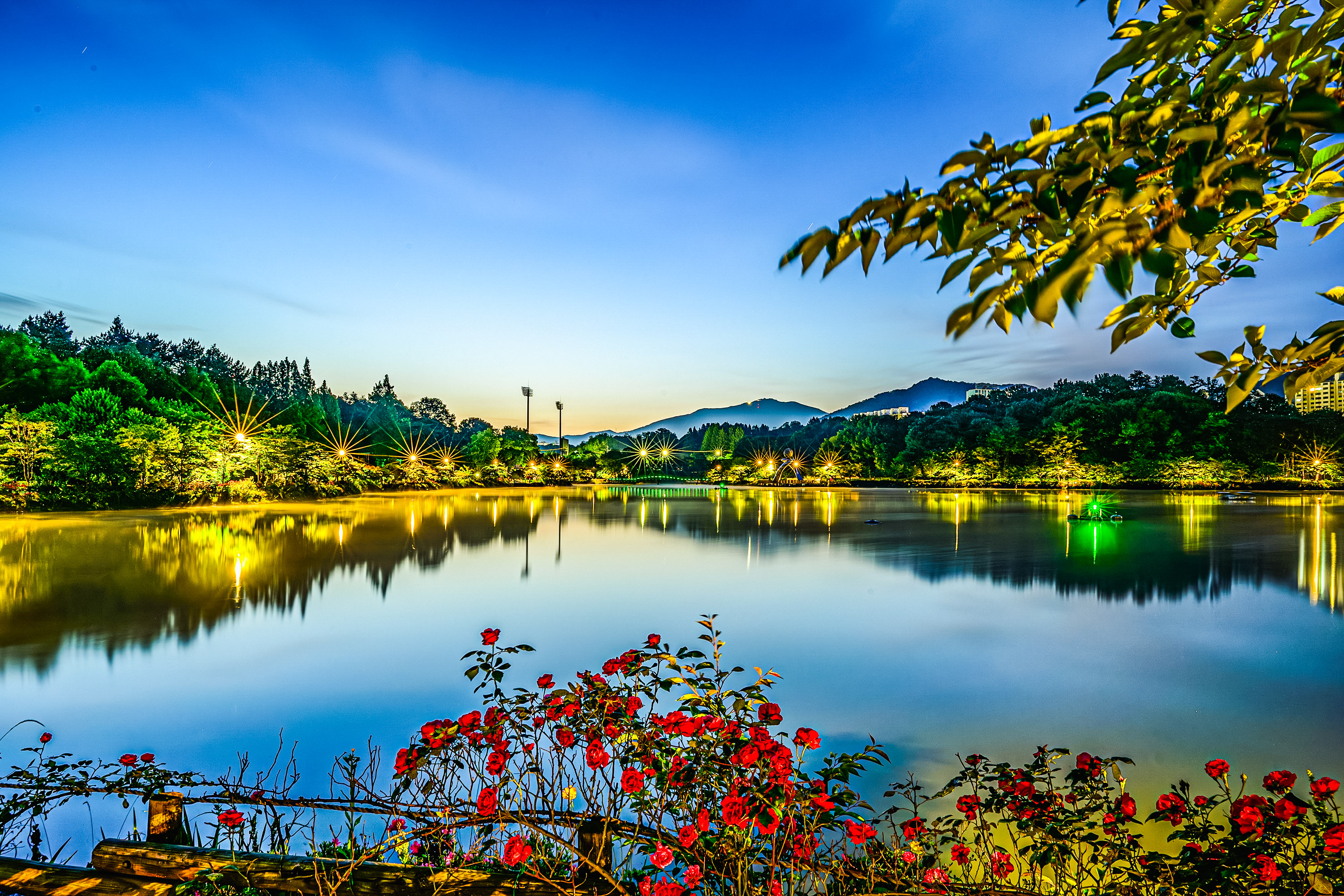 PHOTO BY  | NIKON Z 7_2 | 2024:05:20 04:38:10 | ISO-64 | 120/1 sec | f 16 | 24 mm | EV=0 | ● WIDTH:  HEIGHT: