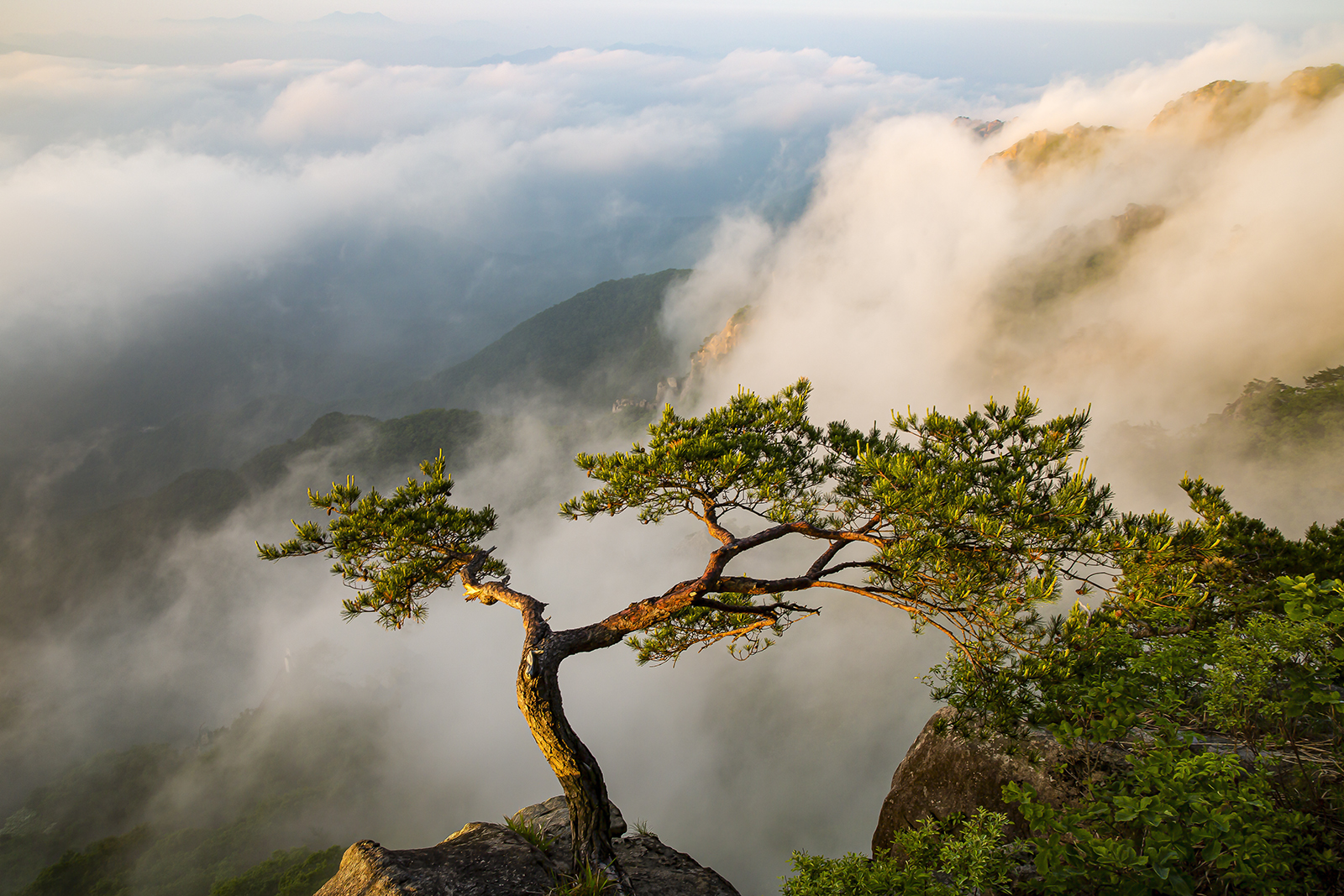 PHOTO BY MINKYUKIM | Canon EOS 5D Mark III | 2024:05:21 05:29:23 | ISO-200 | 1/50 sec | f 11 | 24 mm | EV=0 | ● WIDTH:1600 pixels  HEIGHT:1067 pixels