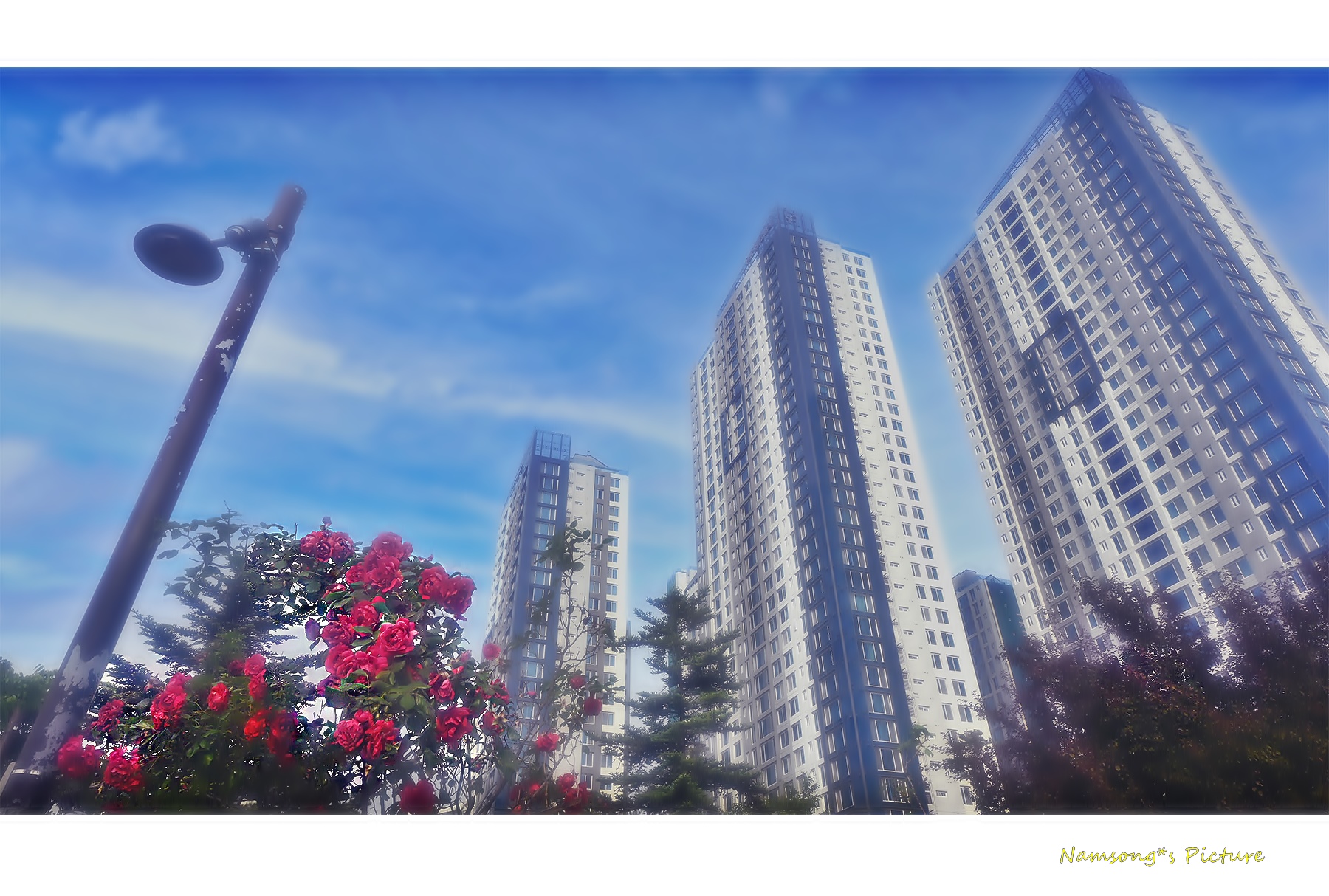 PHOTO BY HAN_JONGSOO | NIKON Z fc | 2024:05:22 07:25:29 | ISO-100 | 1/125 sec | f 11 | 15 mm | EV=0 | ● WIDTH:1800 pixels  HEIGHT:1013 pixels