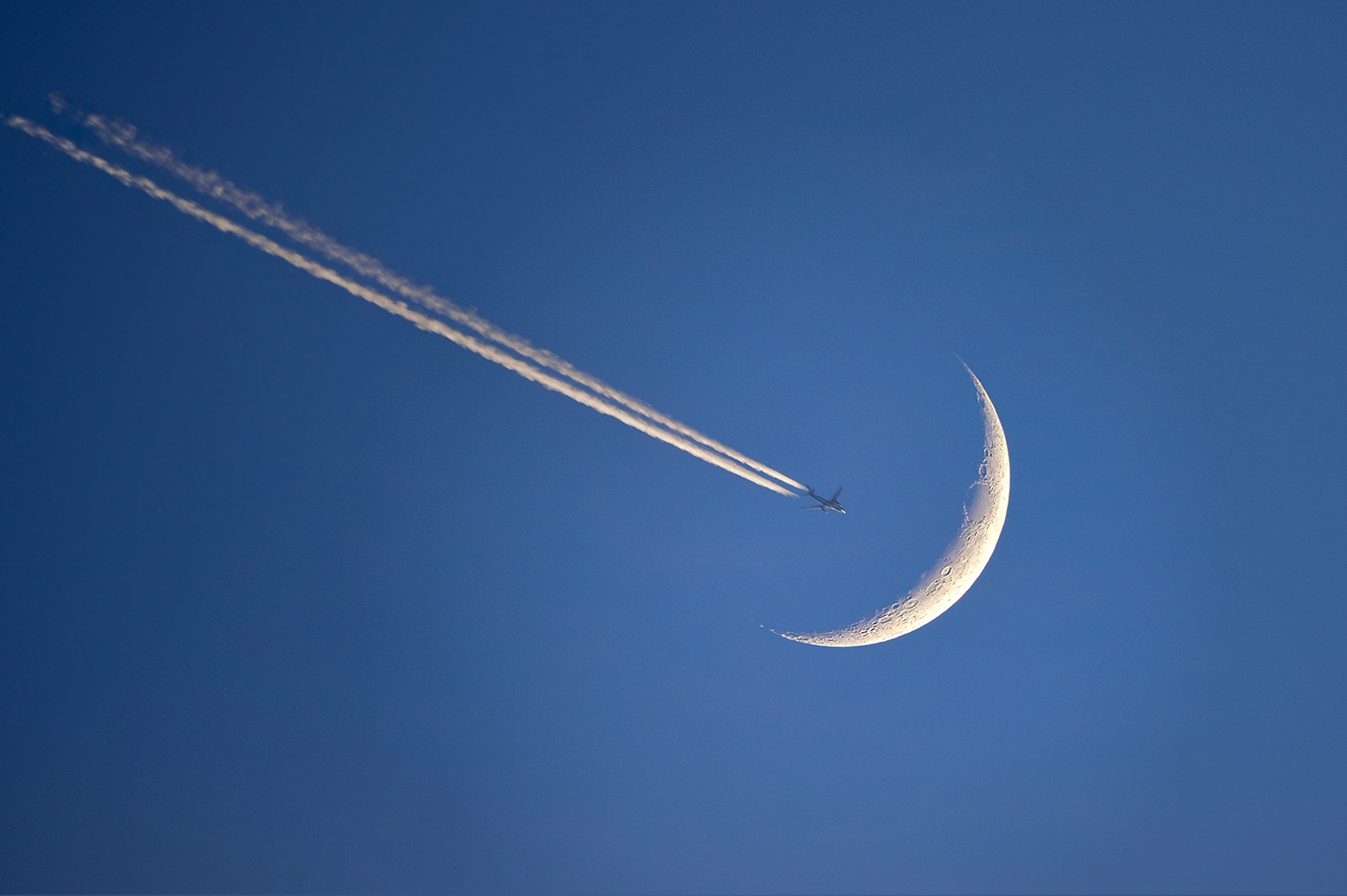 | PHOTO BY : Zenith珍/이진수  |