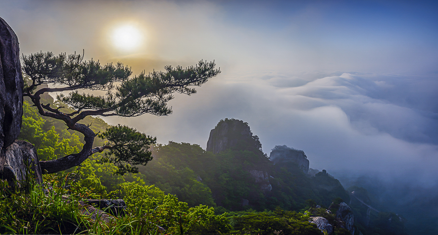 PHOTO BY  | NIKON D810 | 2024:05:21 06:46:06 | ISO-100 | 1/500 sec | f 11 | 17 mm | EV=-1.3 | ● WIDTH:1400 pixels  HEIGHT:752 pixels