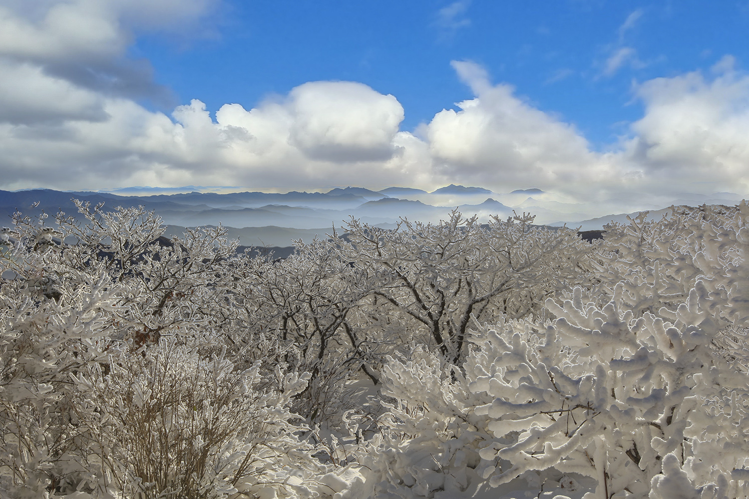 PHOTO BY  | CanonCanon  |  | ISO- |  |  |  | EV=0 | ● WIDTH:  HEIGHT: