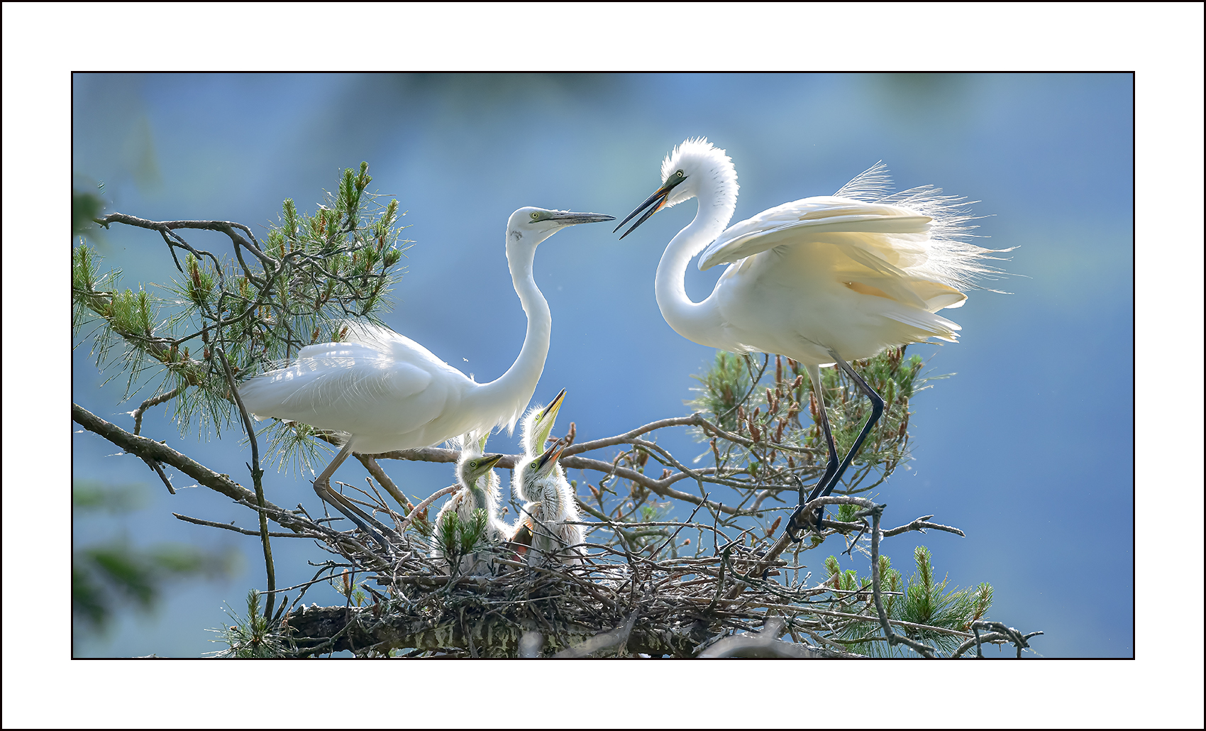 | PHOTO BY : 삿갓/정봉식  |