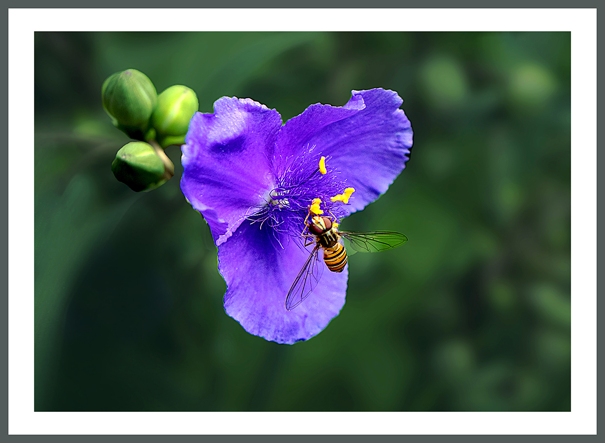 PHOTO BY  | ILCE-6500 | 2024:05:24 10:04:37 | ISO-640 | 1/200 sec | f 7.1 | 55 mm | EV=-0.3 | ● WIDTH:1200 pixels  HEIGHT:880 pixels