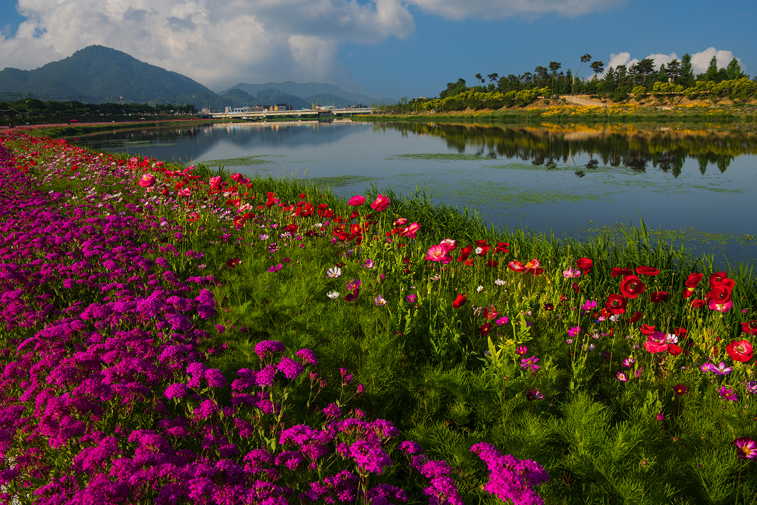 PHOTO BY  | NIKON D850 | 2024:05:24 07:39:45 | ISO-200 | 1/320 sec | f 11 | 27 mm | EV=-0.3 | ● WIDTH:1500 pixels  HEIGHT:1000 pixels