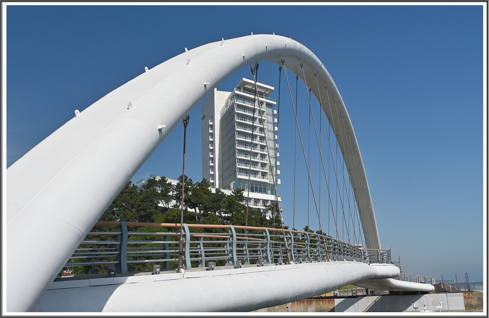 PHOTO BY  | NIKON Z 7_2 | 2024:05:21 21:12:03 | ISO-200 | 1/400 sec | f 10 | 24 mm | EV=0 | ● WIDTH:5408 pixels  HEIGHT:3600 pixels