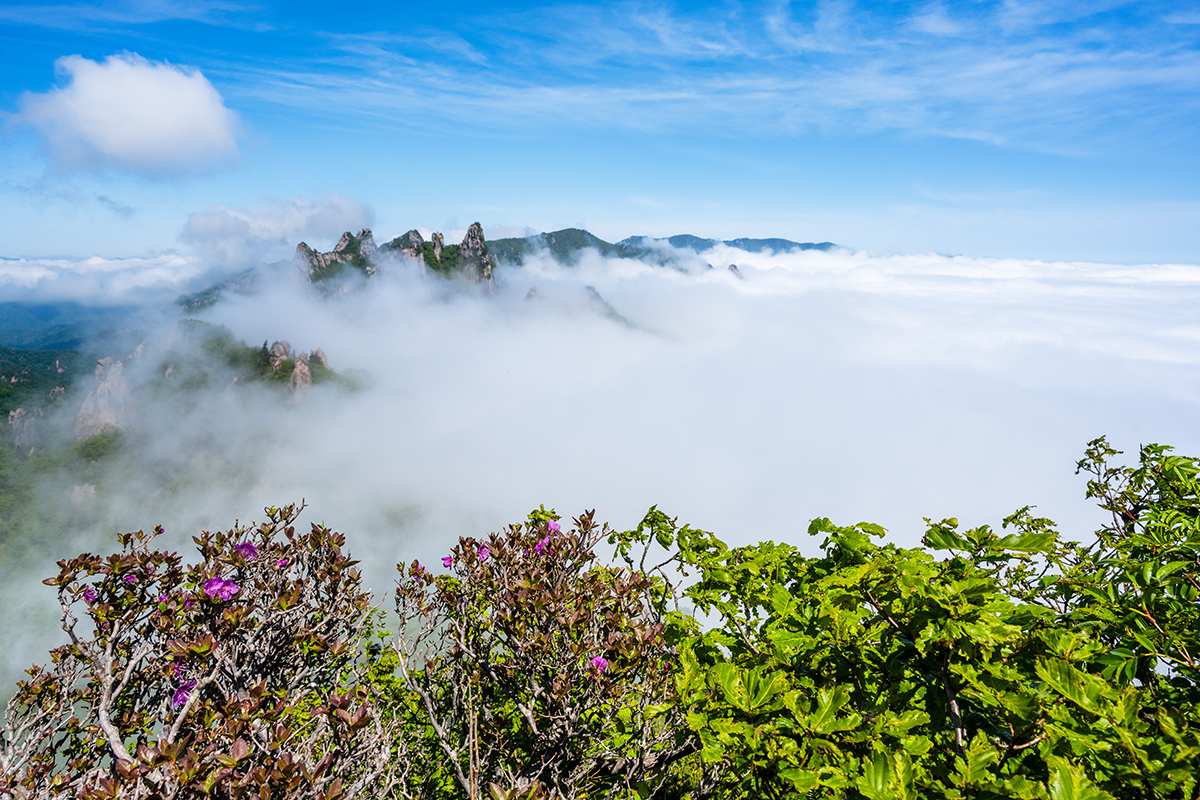 PHOTO BY KIM YONG YEON_ | NIKON Z 7 | 2024:05:21 10:17:43 | ISO-160 | 1/640 sec | f 11 | 24 mm | EV=0 | ● WIDTH:1200 pixels  HEIGHT:800 pixels