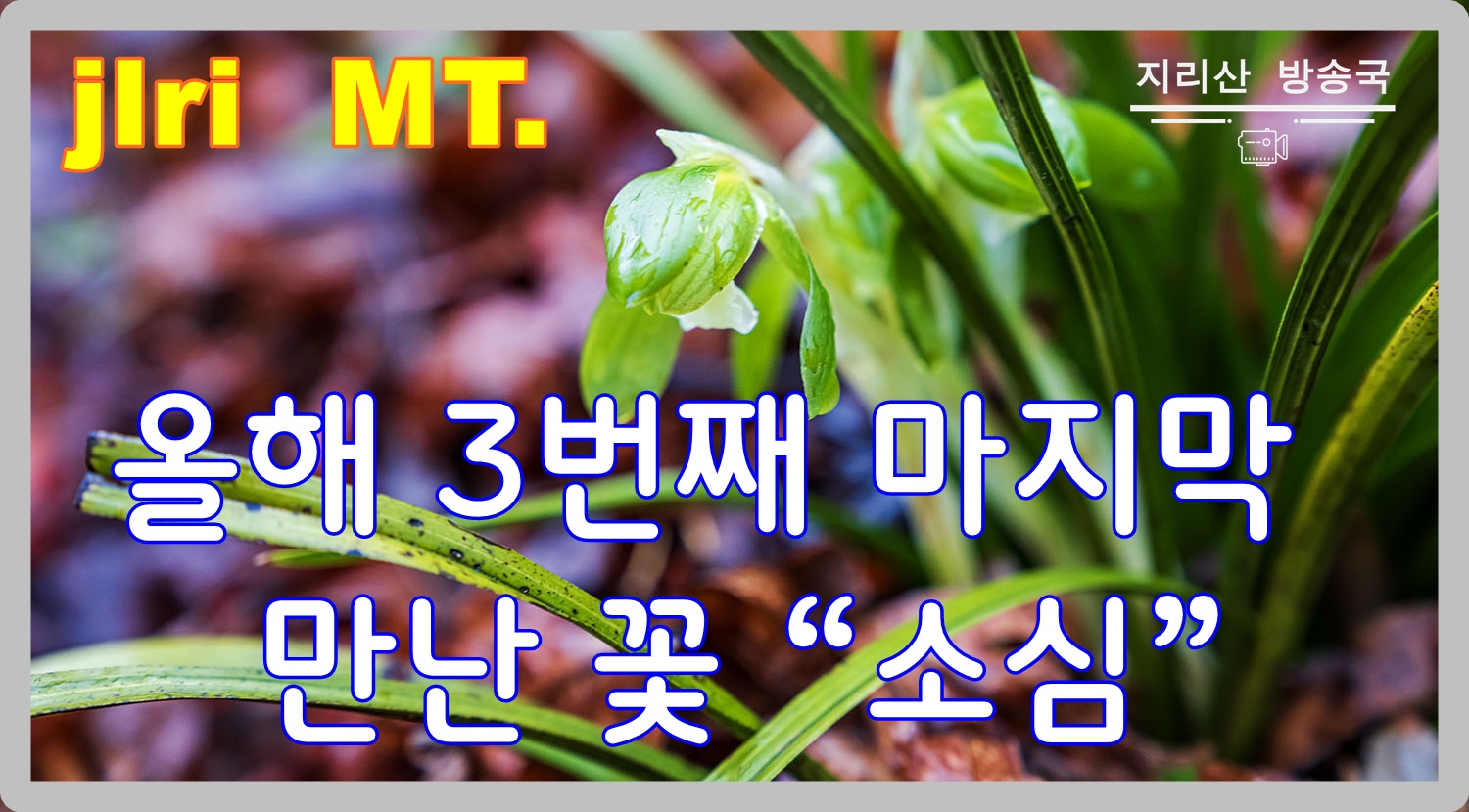 PHOTO BY  | ILCE-7RM5 | 2024:03:25 15:34:43 | ISO-800 | 1/30 sec | f 4.5 | 70 mm | EV=0 | ● WIDTH:1500 pixels  HEIGHT:829 pixels