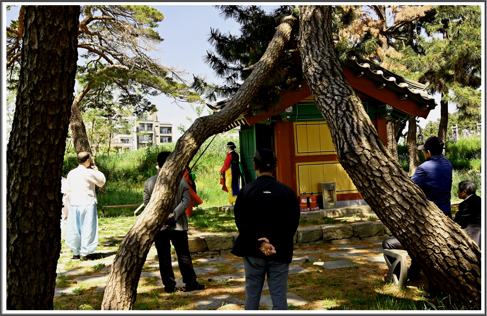 PHOTO BY  | NIKON Z 7_2 | 2024:05:21 22:47:54 | ISO-400 | 1/160 sec | f 6.3 | 24 mm | EV=0.3 | ● WIDTH:5408 pixels  HEIGHT:3600 pixels