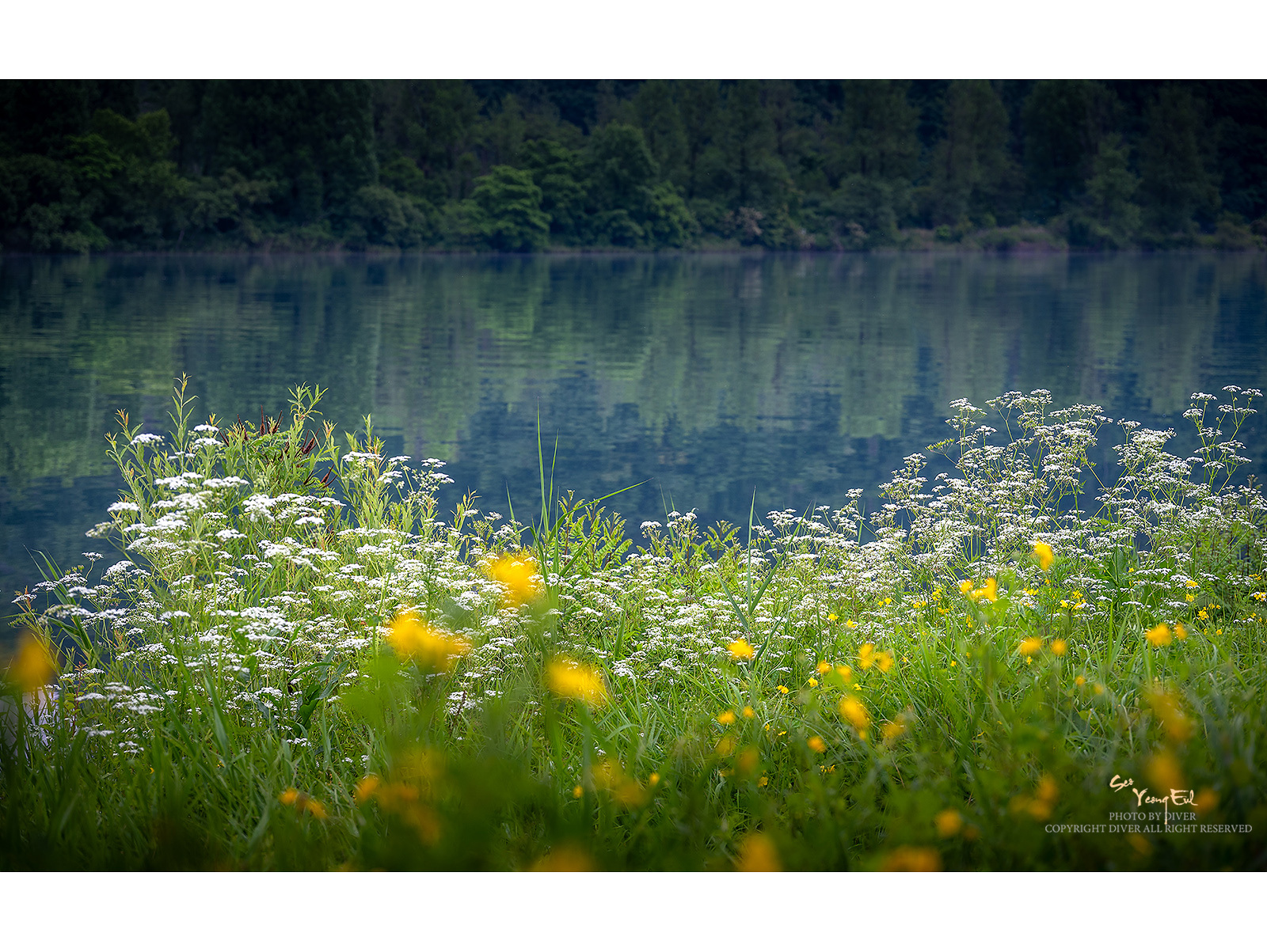 PHOTO BY  | NIKON Z f | 2024:05:20 09:09:28 | ISO-100 | 1/125 sec | f 4 | 67 mm | EV=0 | ● WIDTH:1600 pixels  HEIGHT:1203 pixels