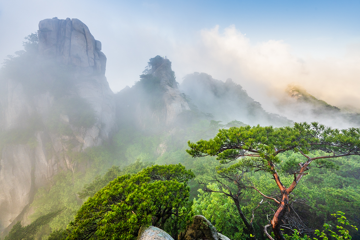 PHOTO BY  | NIKON Z 7_2 | 2024:05:27 06:16:49 | ISO-250 | 1/160 sec | f 9 | 14 mm | EV=0 | ● WIDTH:1200 pixels  HEIGHT:800 pixels