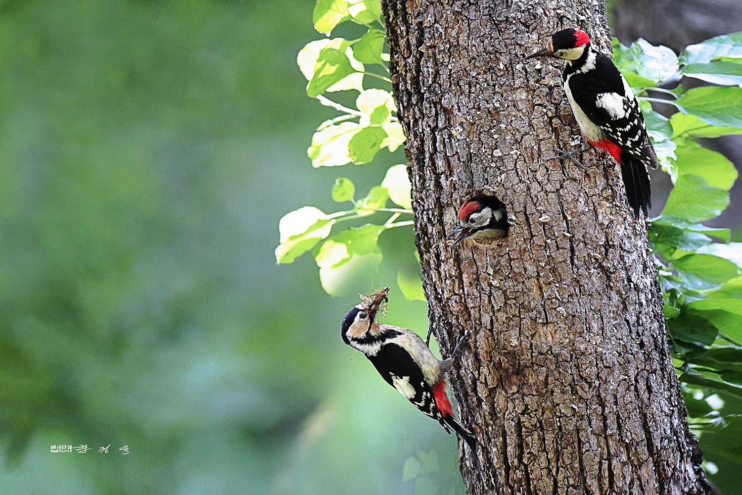   | PHOTO BY : 법연 권정욱  |