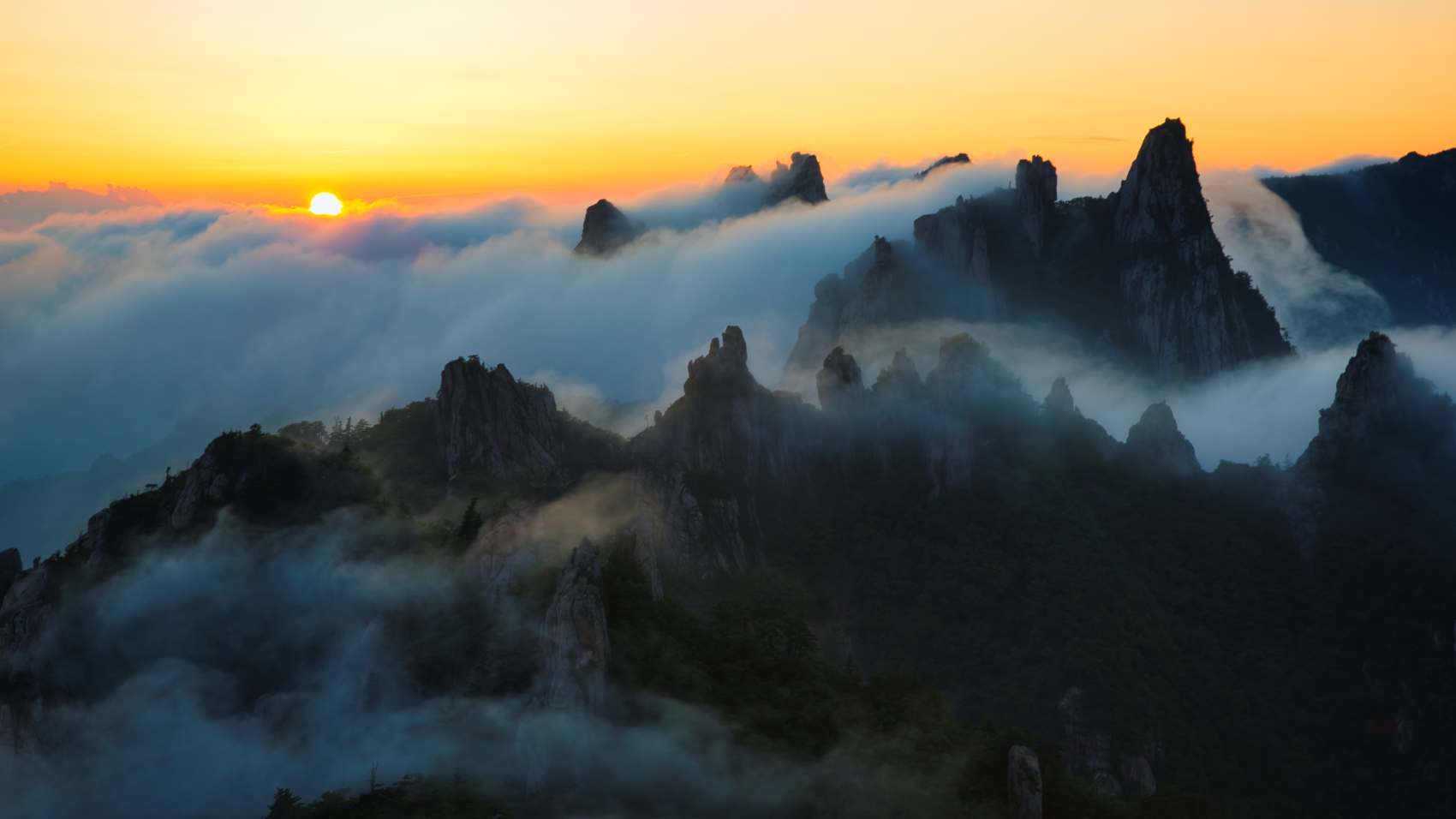   | PHOTO BY : 예봉.허재영  |