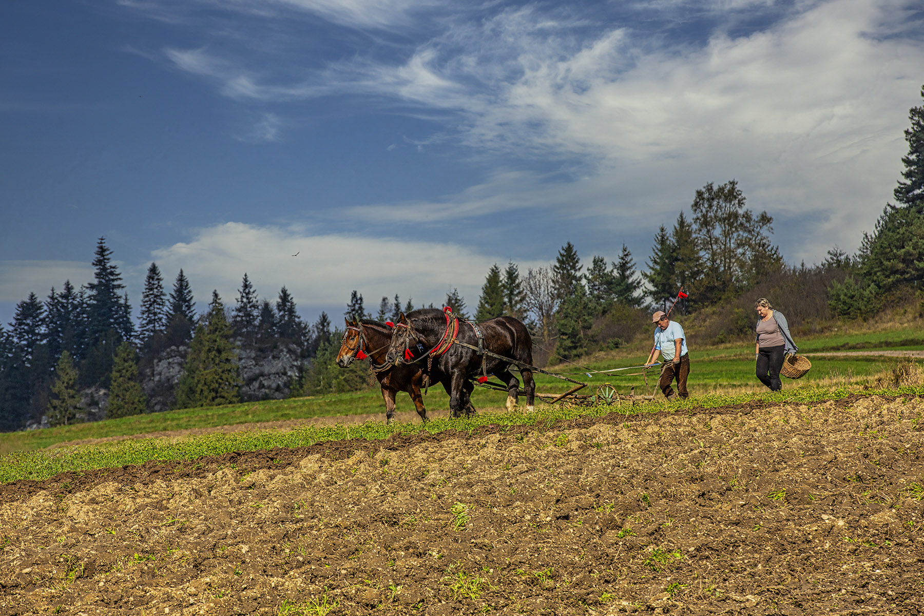 PHOTO BY  | CanonCanon  |  | ISO- |  |  |  | EV=0 | ● WIDTH:  HEIGHT: