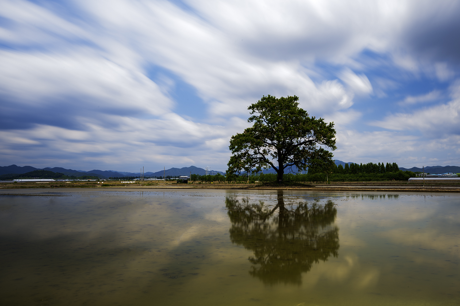 PHOTO BY KWON BYUNG JIN | NIKON Z 8 | 2024:05:28 12:05:29 | ISO-32 | 120/1 sec | f 18 | 27 mm | EV=0 | ● WIDTH:1500 pixels  HEIGHT:1000 pixels