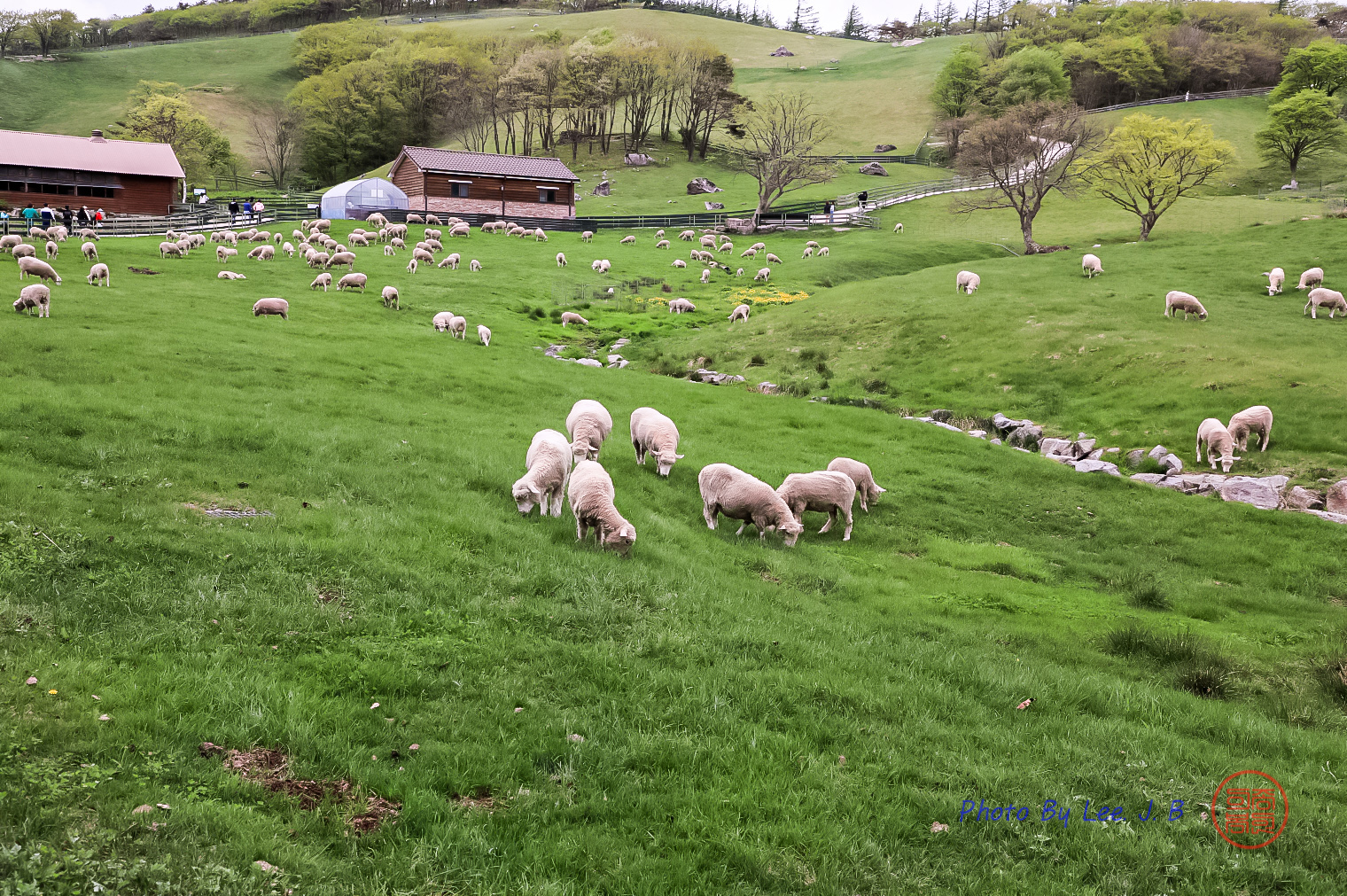 PHOTO BY  | Canon EOS 5D Mark IV | 2024:05:05 10:46:13 | ISO-500 | 1/400 sec | f 9 | 42 mm | EV=0 | ● WIDTH:1520 pixels  HEIGHT:1011 pixels