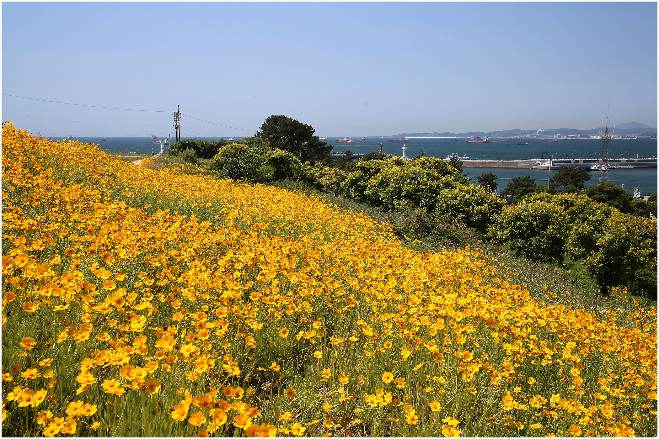 | PHOTO BY : 몰운대/조태열  |