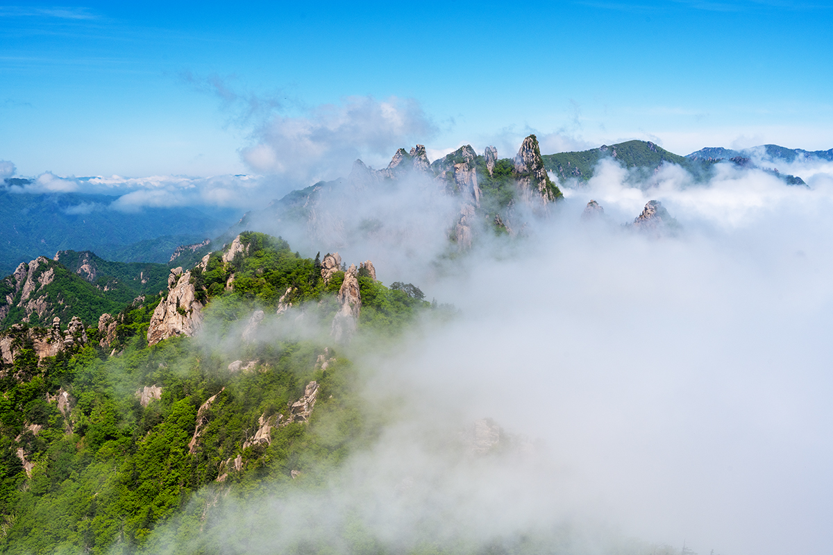 PHOTO BY KIM YONG YEON_ | NIKON Z 7 | 2024:05:21 10:30:43 | ISO-160 | 1/640 sec | f 11 | 36 mm | EV=0 | ● WIDTH:1200 pixels  HEIGHT:800 pixels