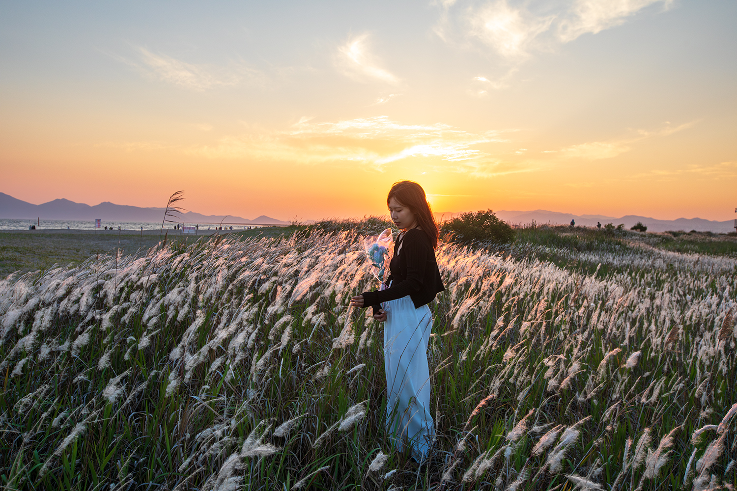 PHOTO BY  | Canon EOS 5D Mark IV | 2024:05:31 19:15:57 | ISO-400 | 1/320 sec | f 8 | 30 mm | EV=0 | ● WIDTH:1500 pixels  HEIGHT:1000 pixels