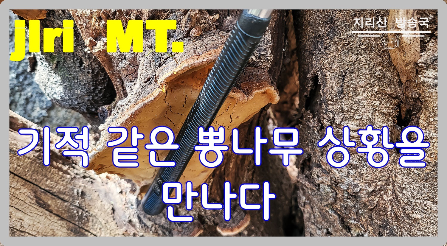 PHOTO BY  | SM-N981N | 2024:04:17 12:56:15 | ISO-100 | 1/120 sec | f 1.8 | 5.4 mm | EV=0 | ● WIDTH:1500 pixels  HEIGHT:826 pixels