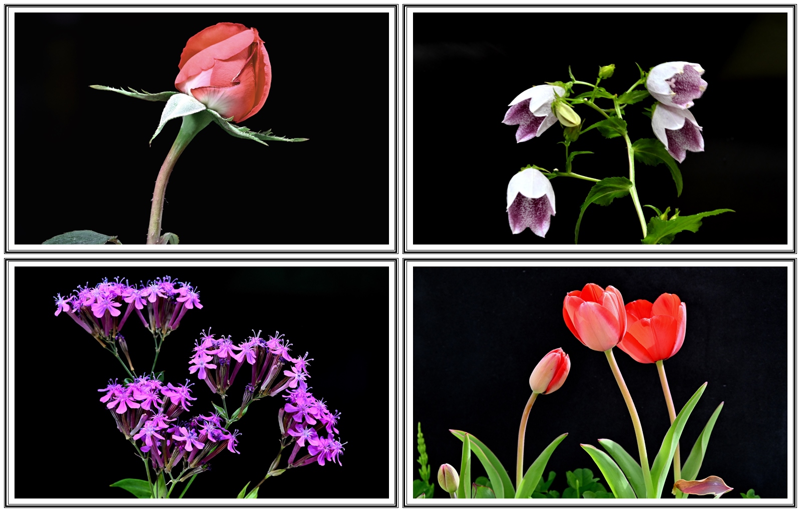 | PHOTO BY : 청산이종원  |