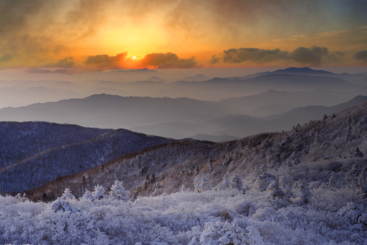 PHOTO BY  | CanonCanon  |  | ISO- |  |  |  | EV=0 | ● WIDTH:  HEIGHT: