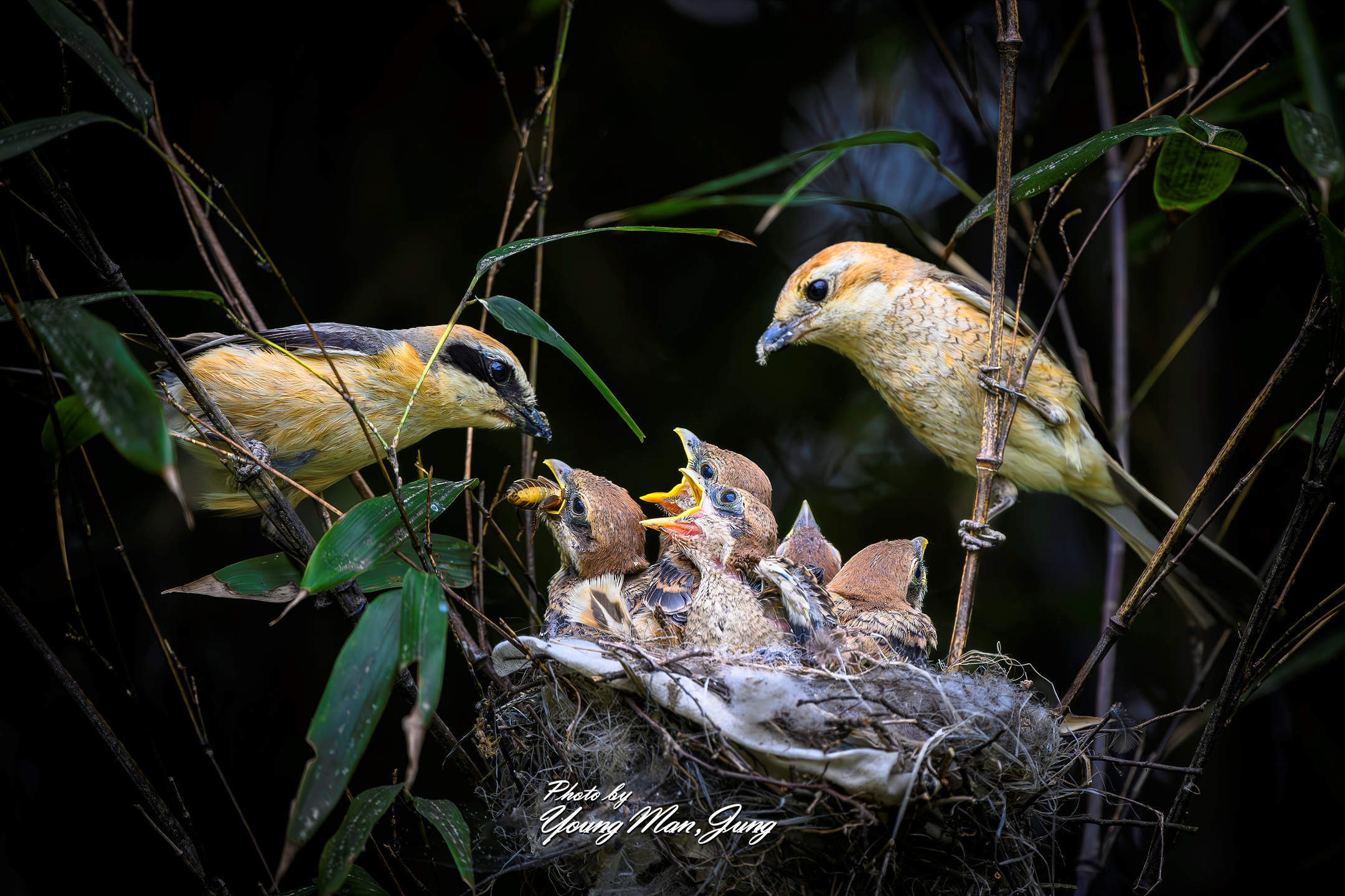   | PHOTO BY : 카파/정영만  |