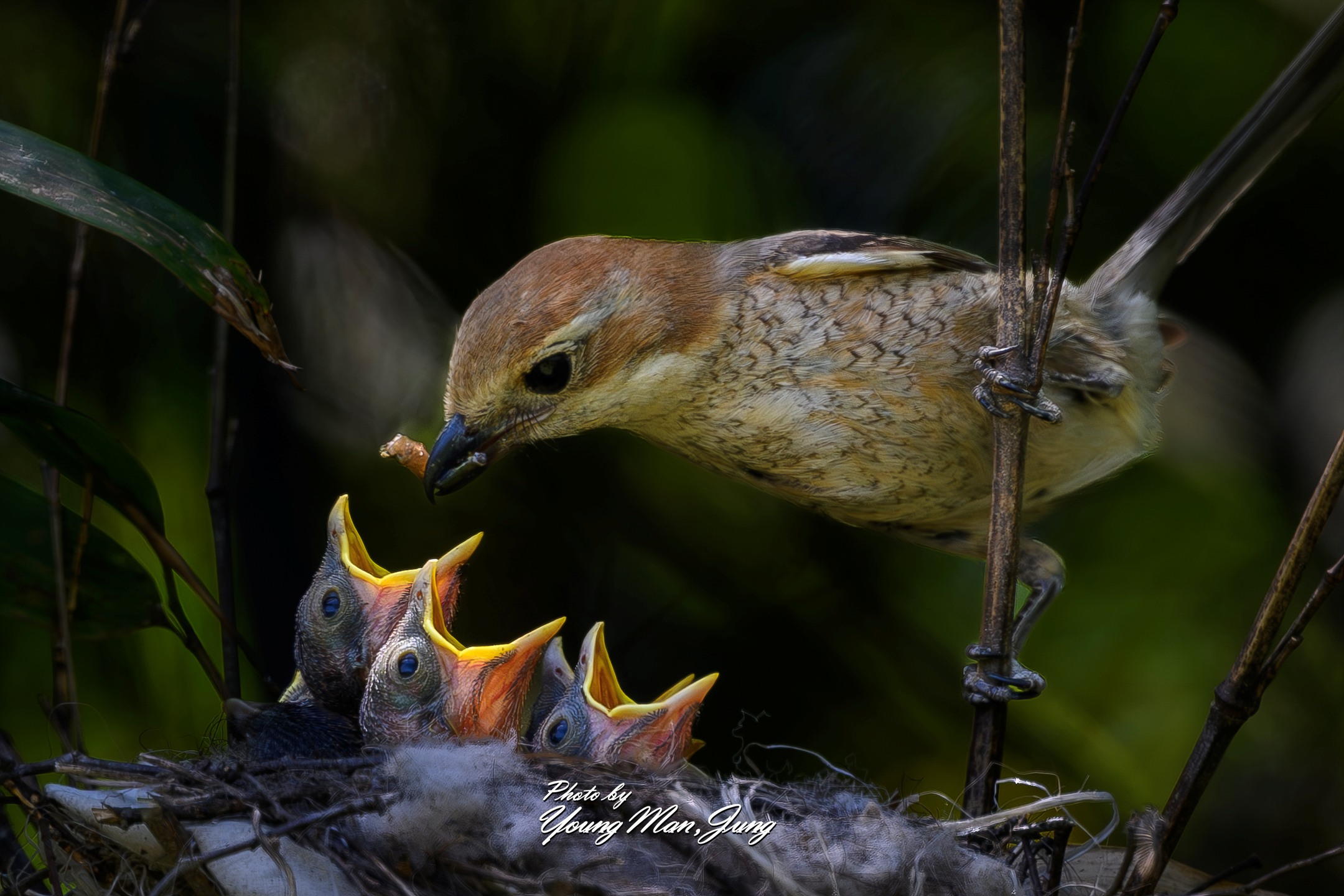   | PHOTO BY : 카파/정영만  |