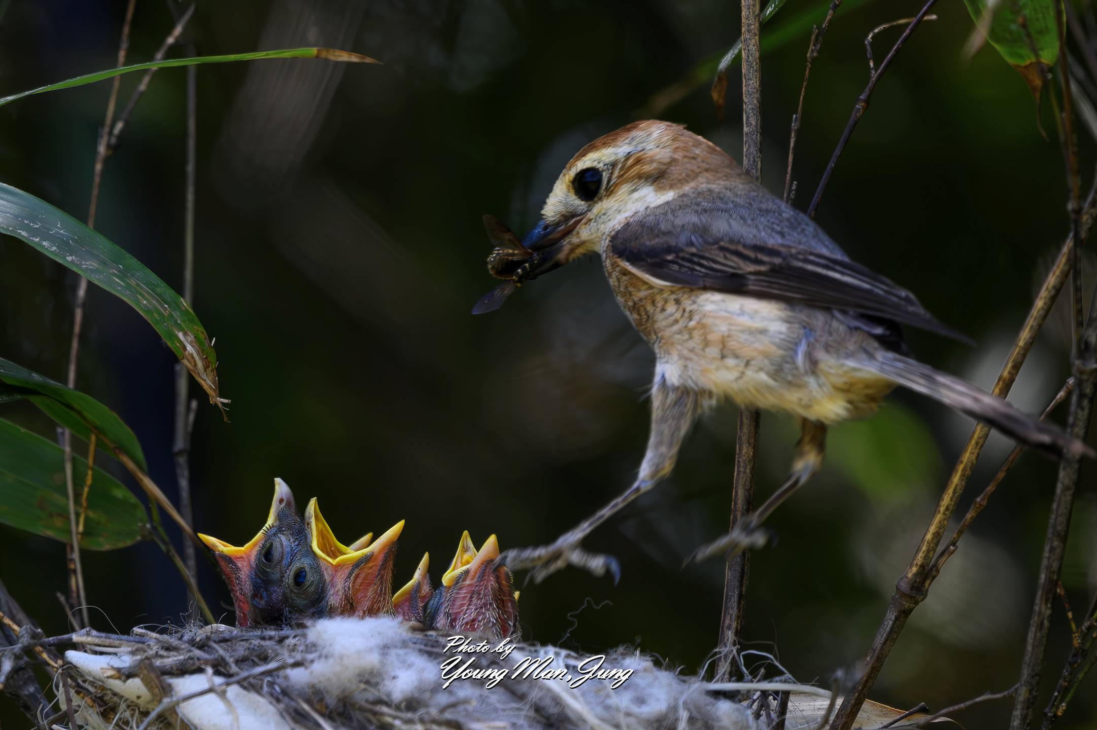   | PHOTO BY : 카파/정영만  |