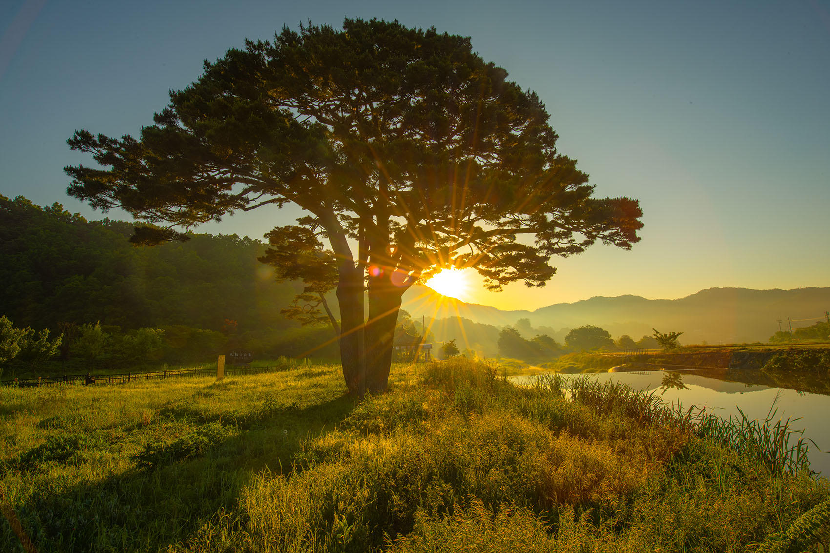 PHOTO BY  | NIKON D850 | 2024:05:15 05:55:00 | ISO-64 | 1/60 sec | f 22 | 18 mm | EV=0 | ● WIDTH:1700 pixels  HEIGHT:1133 pixels