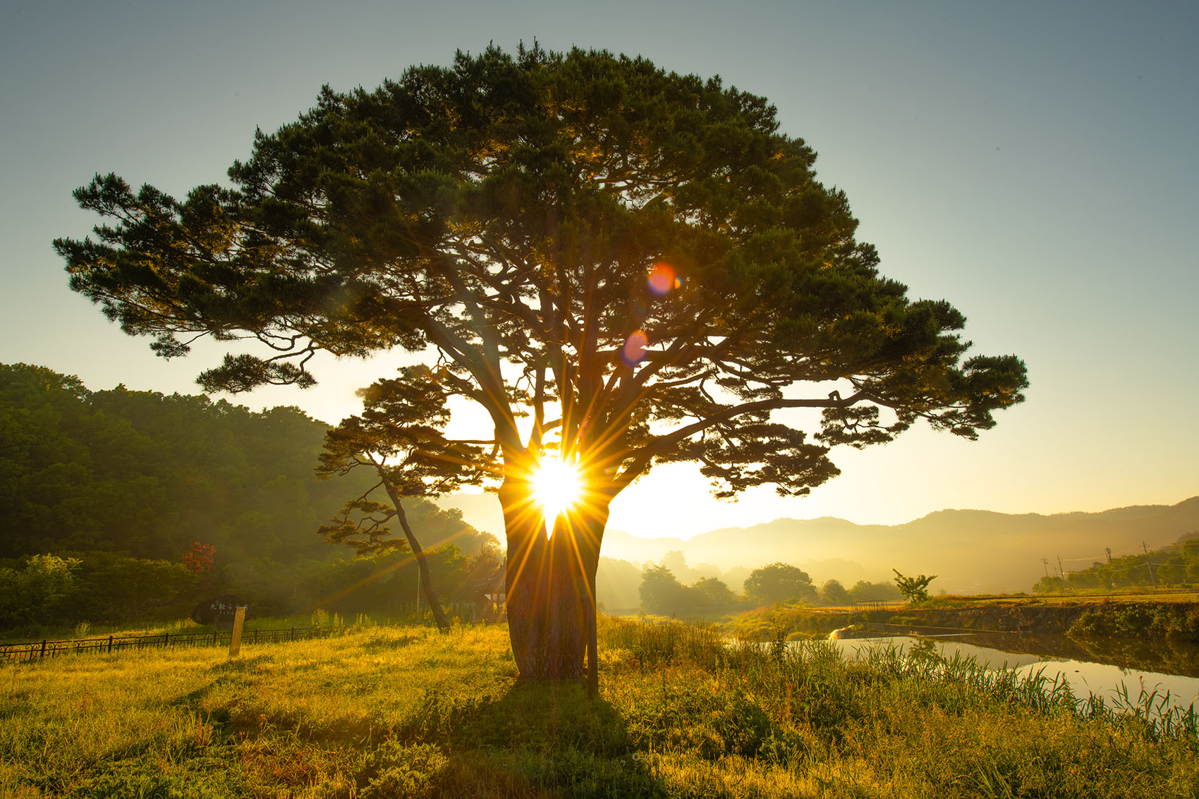 PHOTO BY  | NIKON D850 | 2024:05:15 05:57:27 | ISO-64 | 1/60 sec | f 22 | 20 mm | EV=0 | ● WIDTH:1700 pixels  HEIGHT:1133 pixels