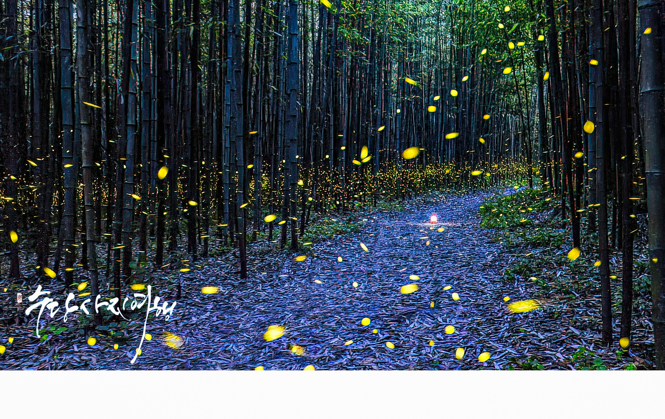   | PHOTO BY : 수당/박상돈  |