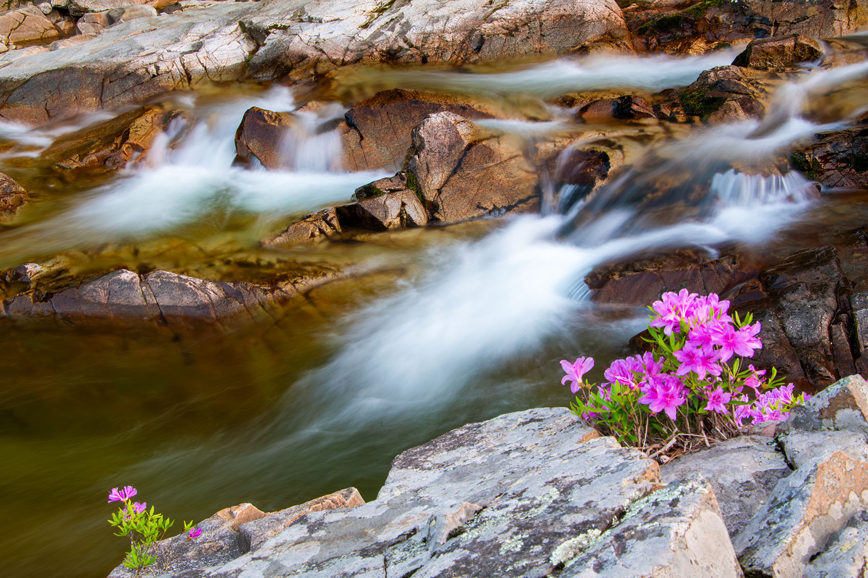 PHOTO BY  | NIKON D850 | 2024:04:27 18:45:08 | ISO-64 | 16/10 sec | f 22 | 56 mm | EV=0 | ● WIDTH:1700 pixels  HEIGHT:1133 pixels