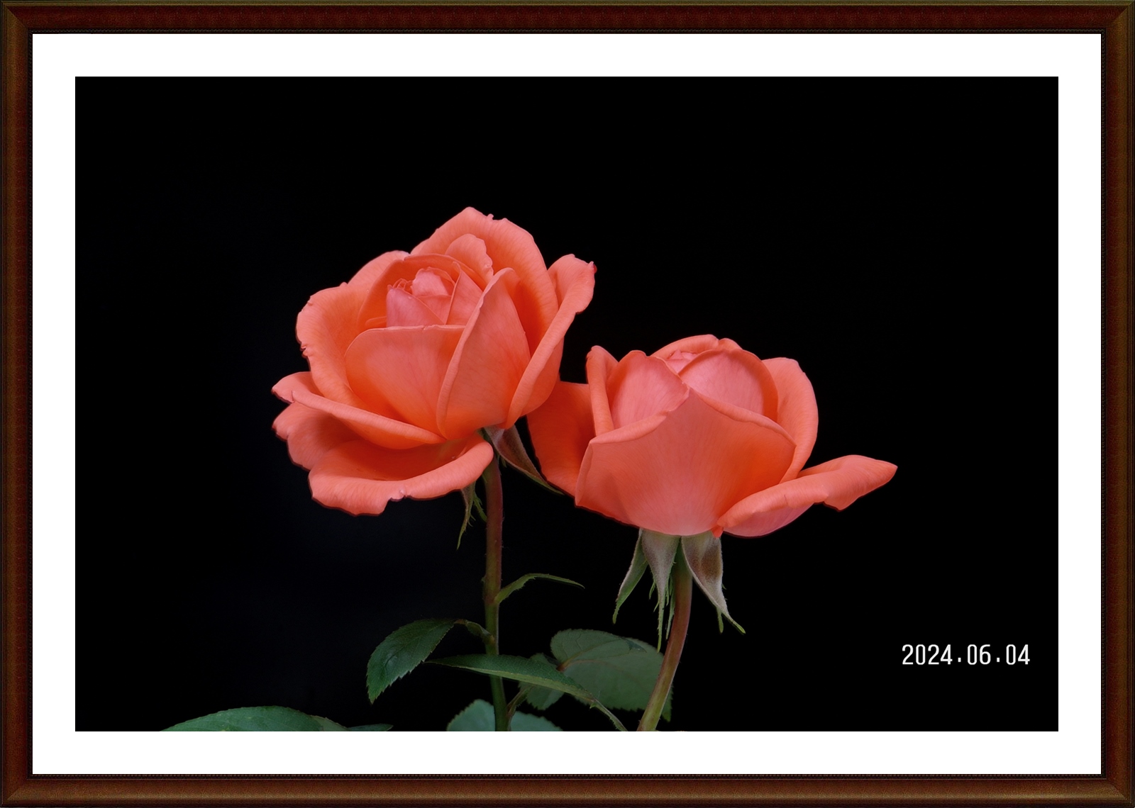 PHOTO BY  | NX10            | 2024:06:04 17:09:24 | ISO-100 | 30/10 sec | f 9.5 | 150 mm | EV=-0.6 | ● WIDTH:4592 pixels  HEIGHT:3056 pixels