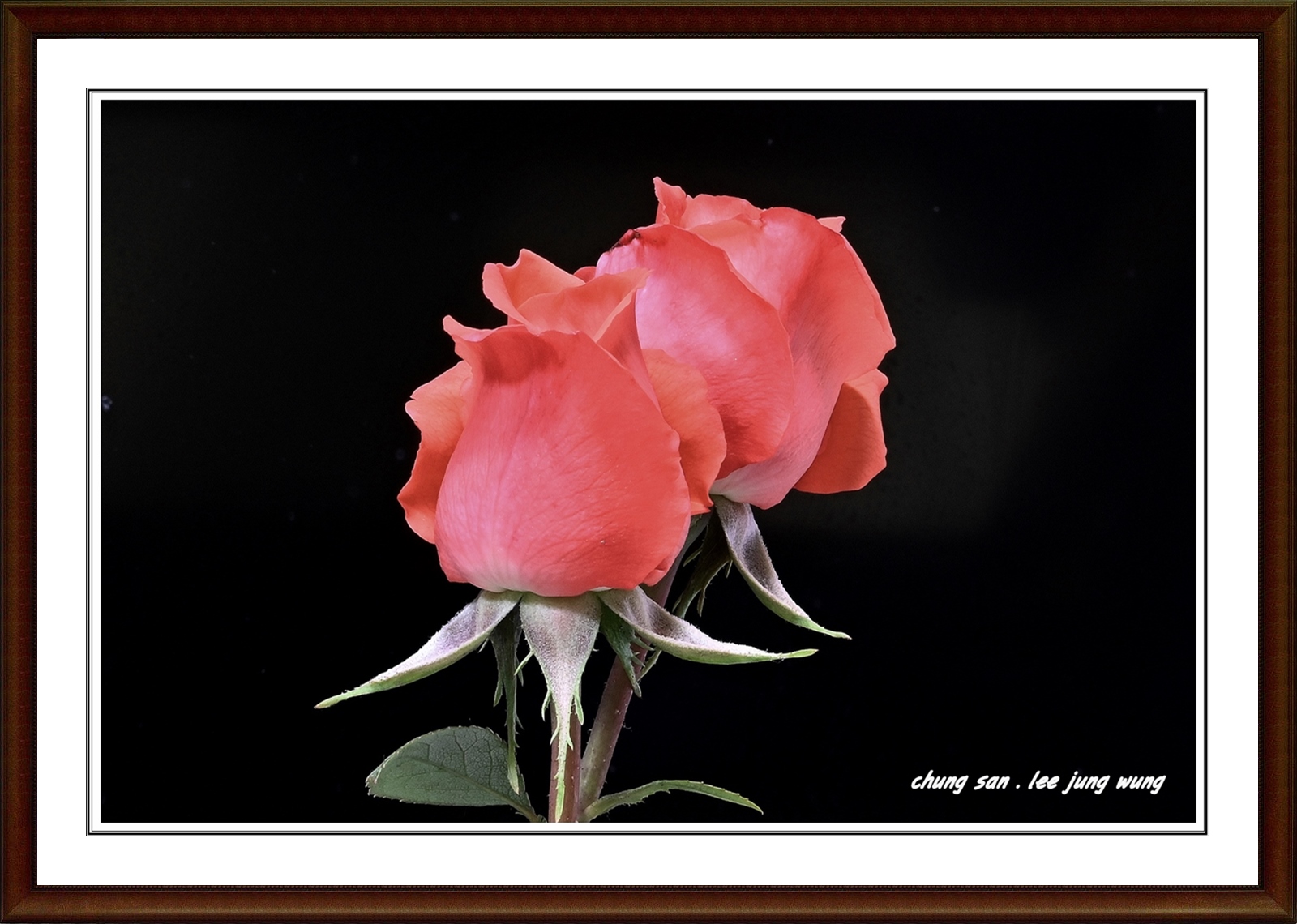 PHOTO BY  | NIKON Z 7_2 | 2024:06:03 07:08:39 | ISO-200 | 130/10 sec | f 16 | 60 mm | EV=-0.7 | ● WIDTH:5408 pixels  HEIGHT:3600 pixels