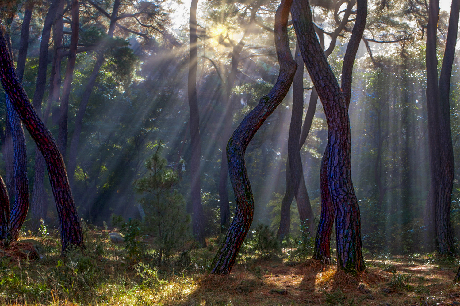 PHOTO BY  | CanonCanon  |  | ISO- |  |  |  | EV=0 | ● WIDTH:  HEIGHT: