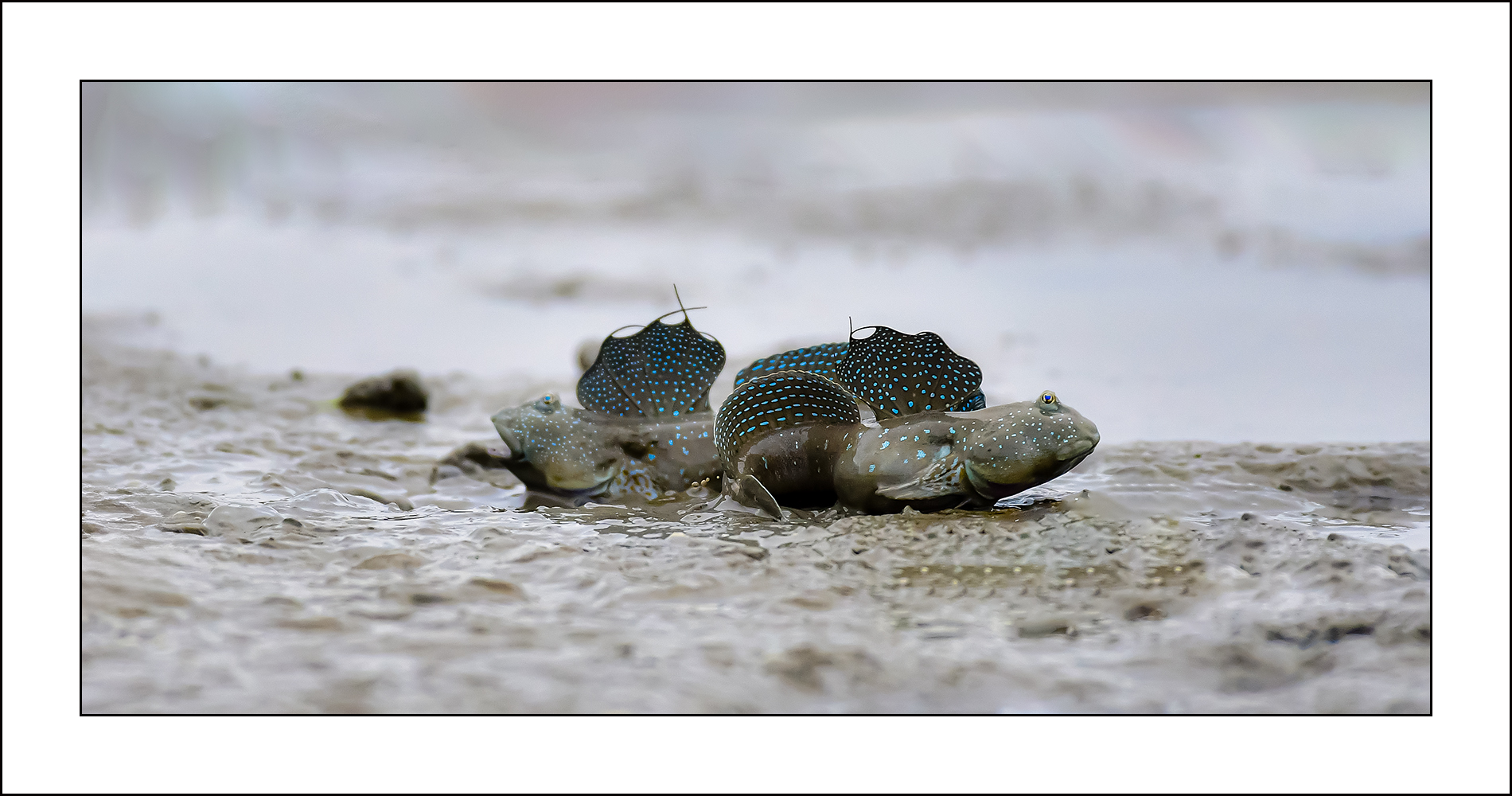   | PHOTO BY : 삿갓/정봉식  |