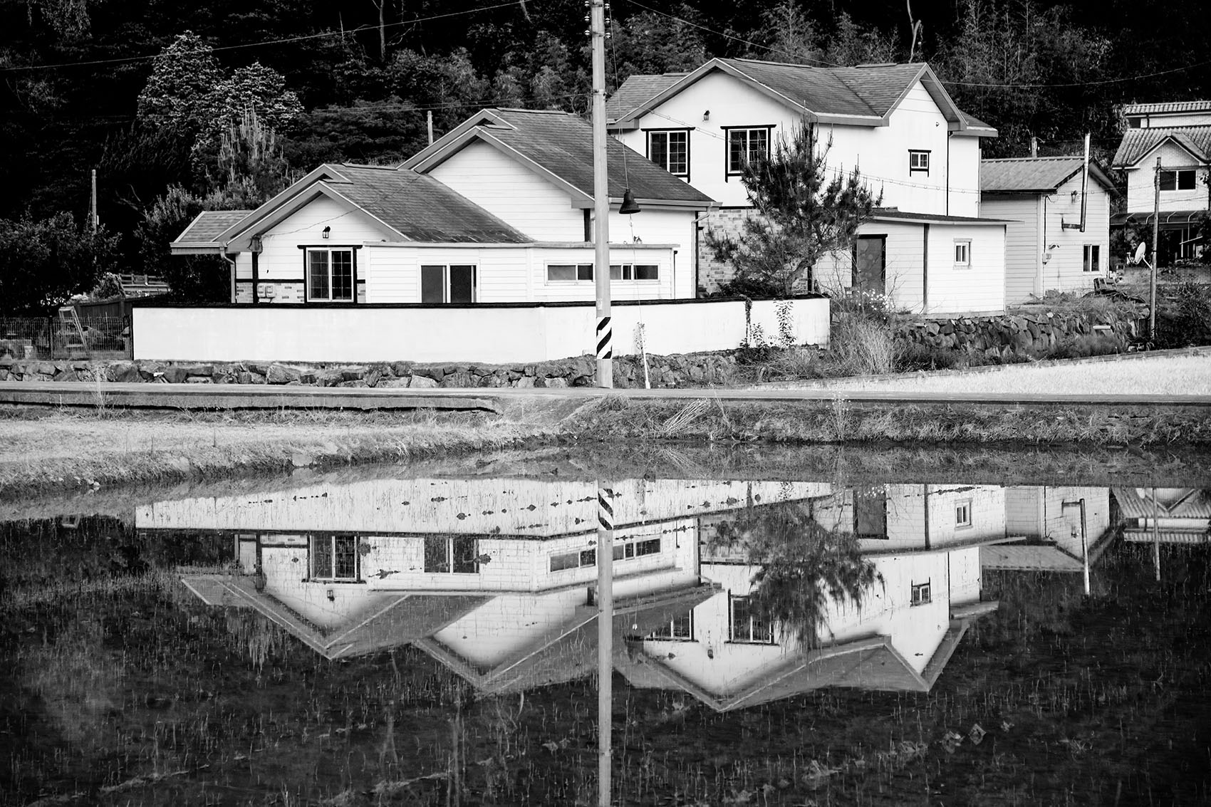 PHOTO BY  | NIKON D850 | 2024:05:26 04:39:59 | ISO-1000 | 1/10 sec | f 5.6 | 112 mm | EV=0 | ● WIDTH:1700 pixels  HEIGHT:1133 pixels