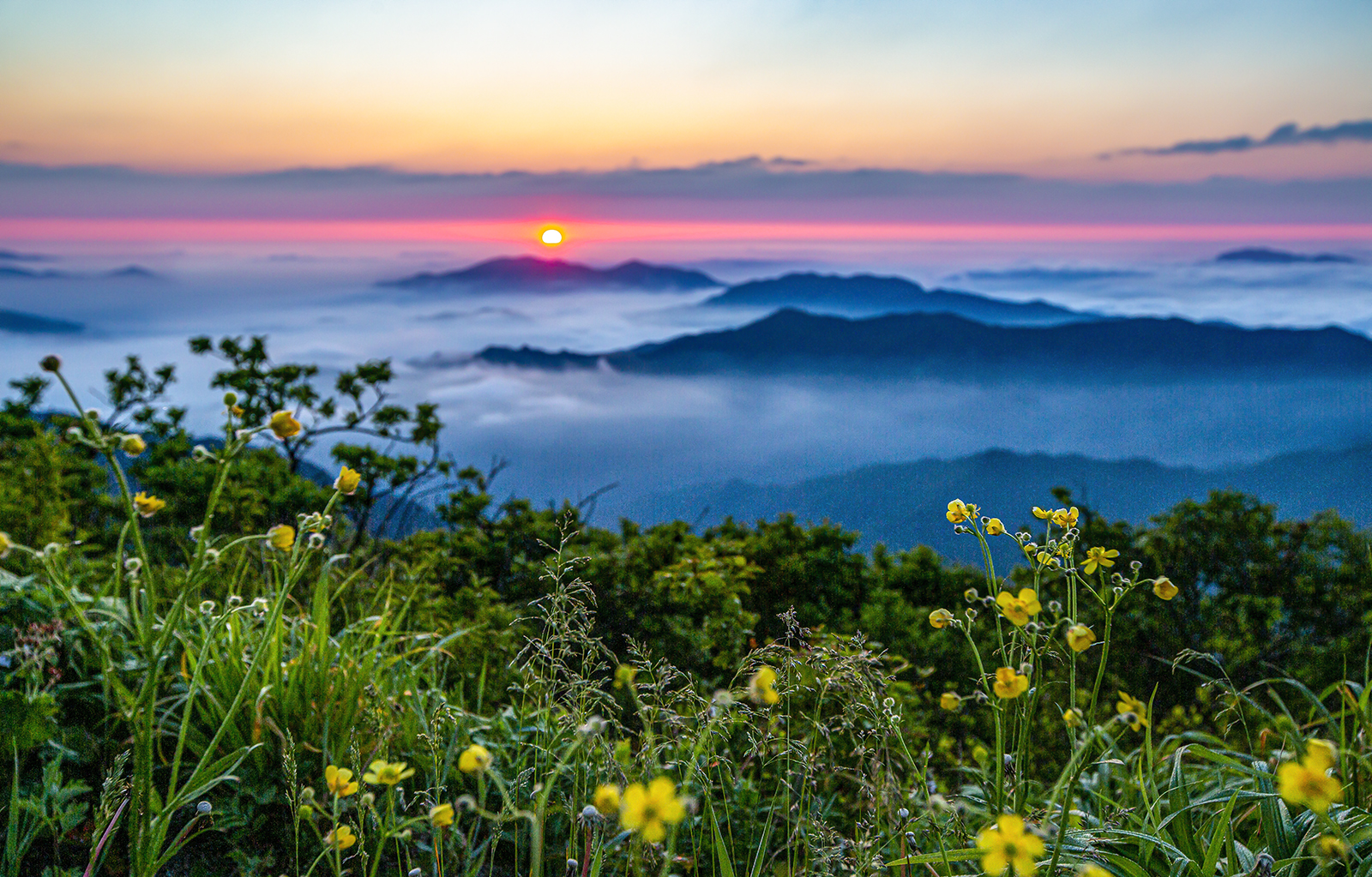 PHOTO BY MINKYUKIM | Canon EOS 5D Mark III | 2024:06:04 04:47:33 | ISO-200 | 1/80 sec | f 6.3 | 35 mm | EV=0 | ● WIDTH:1600 pixels  HEIGHT:1023 pixels