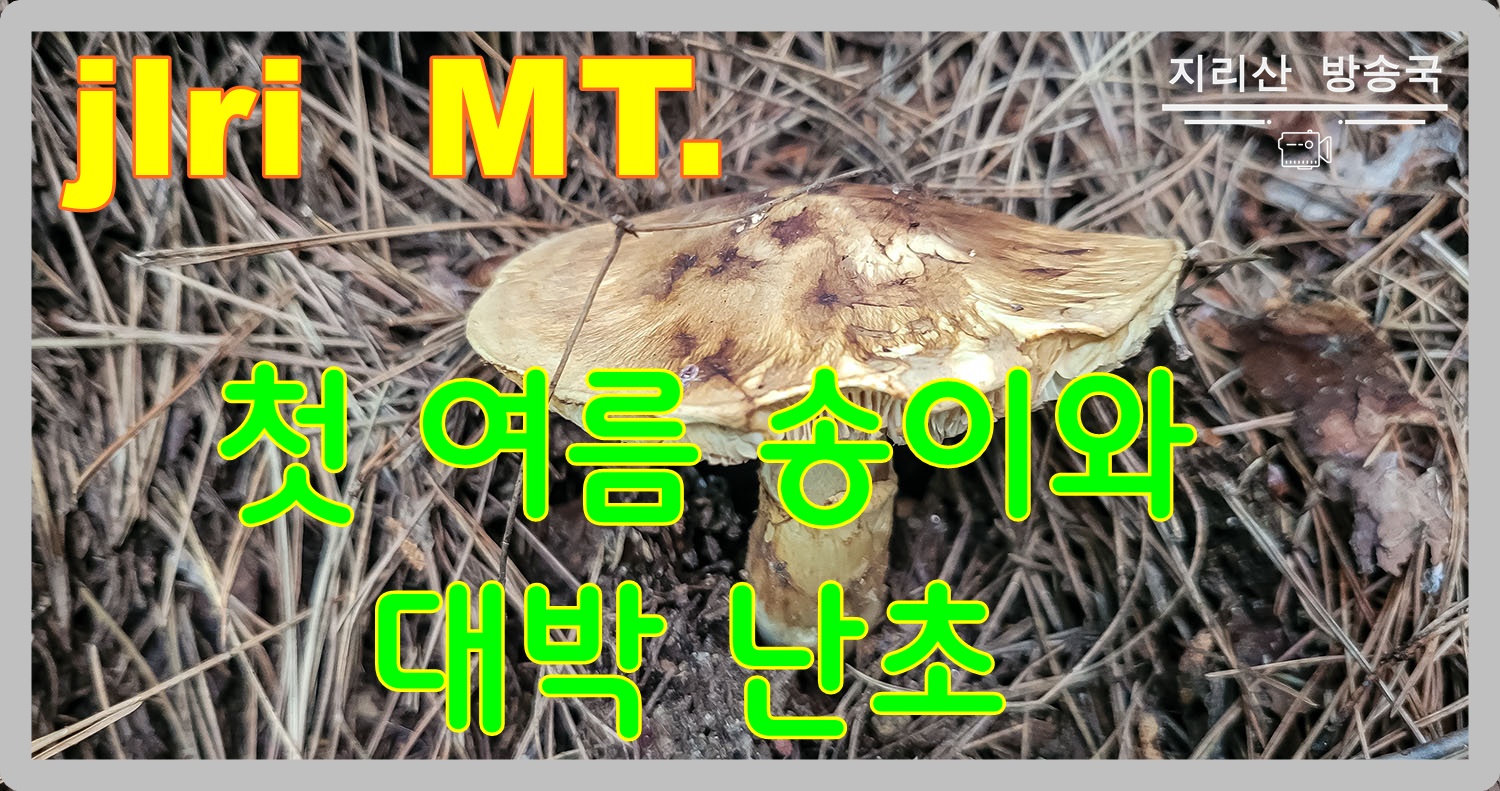 PHOTO BY  | SM-N981N | 2024:06:04 16:28:25 | ISO-400 | 1/40 sec | f 1.8 | 5.4 mm | EV=0 | ● WIDTH:1500 pixels  HEIGHT:791 pixels