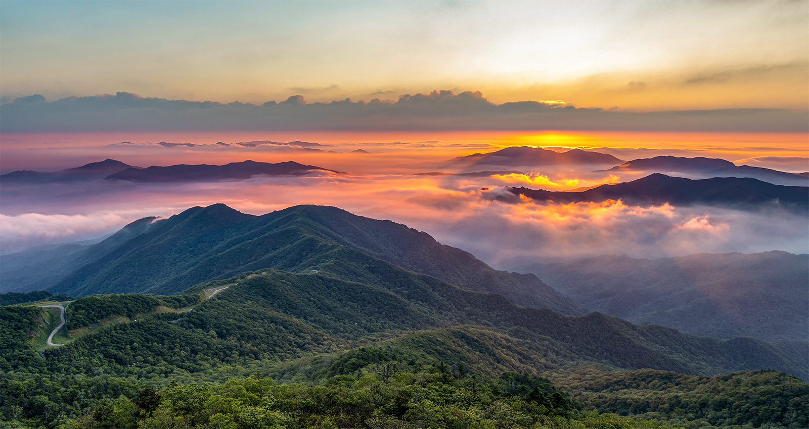 PHOTO BY  | Canon EOS 5D Mark IV | 2023:08:01 07:53:22 | ISO-200 | 1/50 sec | f 8 | 24 mm | EV=0 | ● WIDTH:1600 pixels  HEIGHT:850 pixels