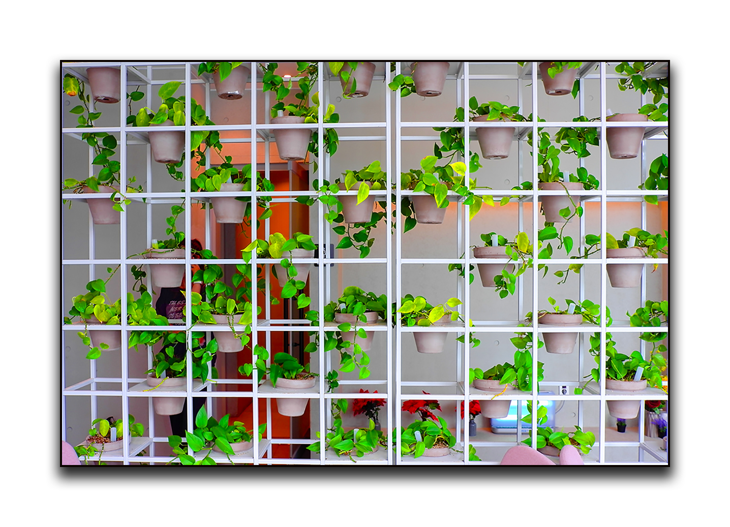 PHOTO BY  | LEICA X1 | 2024:06:03 15:05:52 | ISO-100 | 1/30 sec | f 5.6 | 24 mm | EV=0 | ● WIDTH:1436 pixels  HEIGHT:1037 pixels