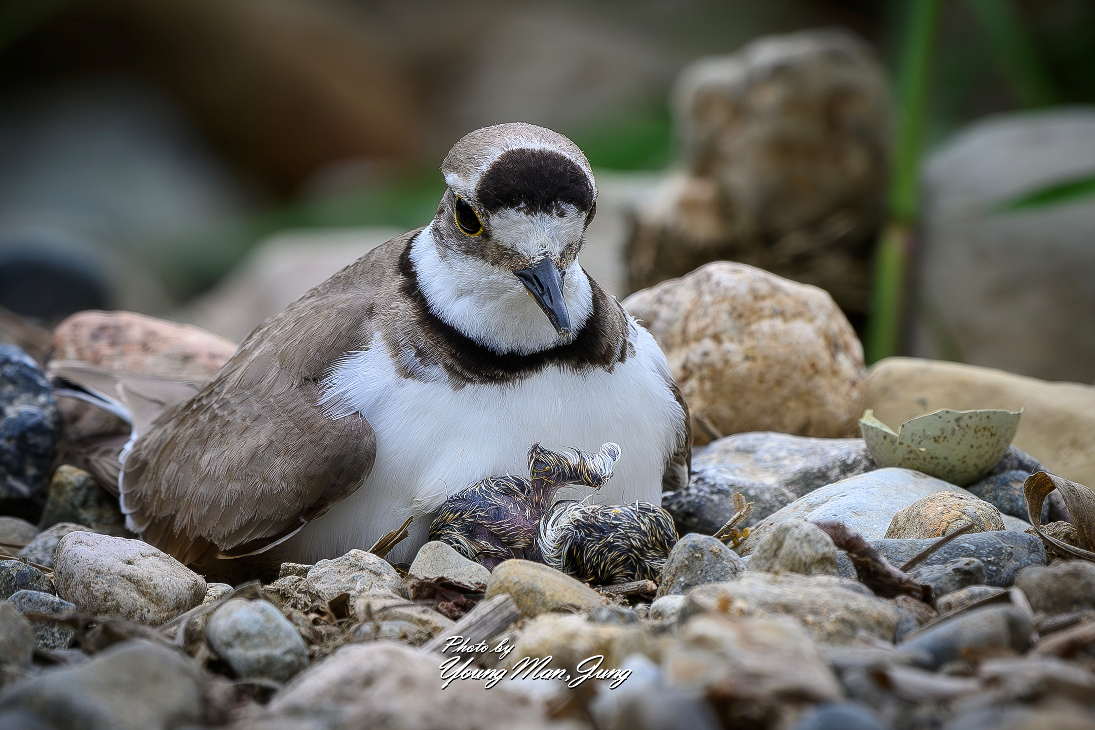 | PHOTO BY : 카파/정영만  |