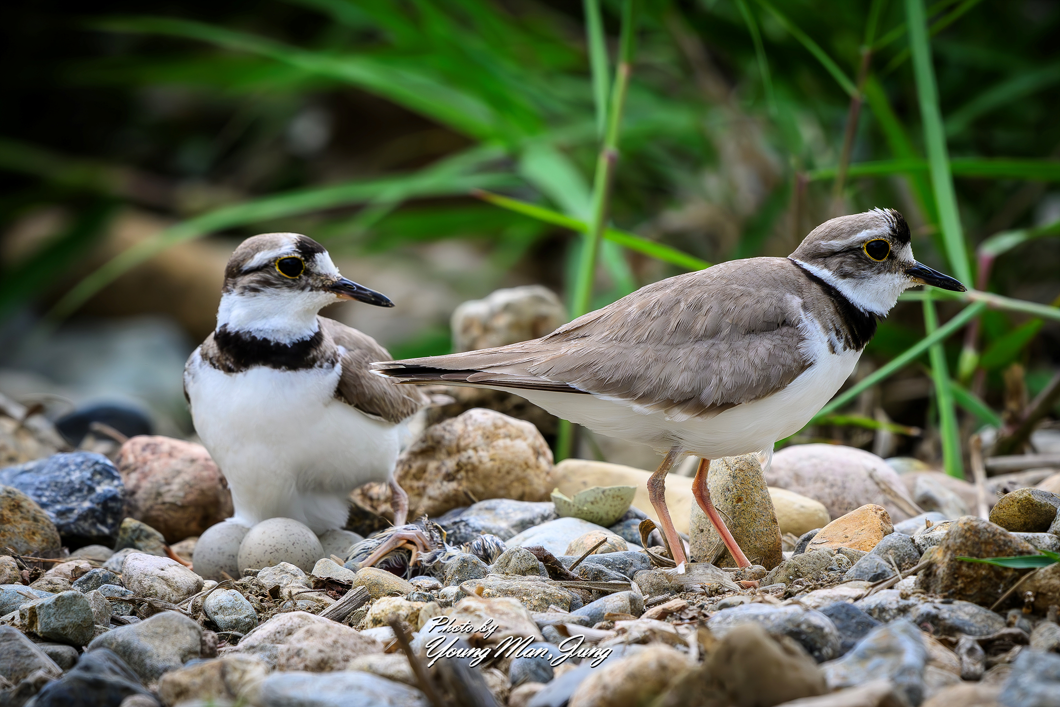 | PHOTO BY : 카파/정영만  |