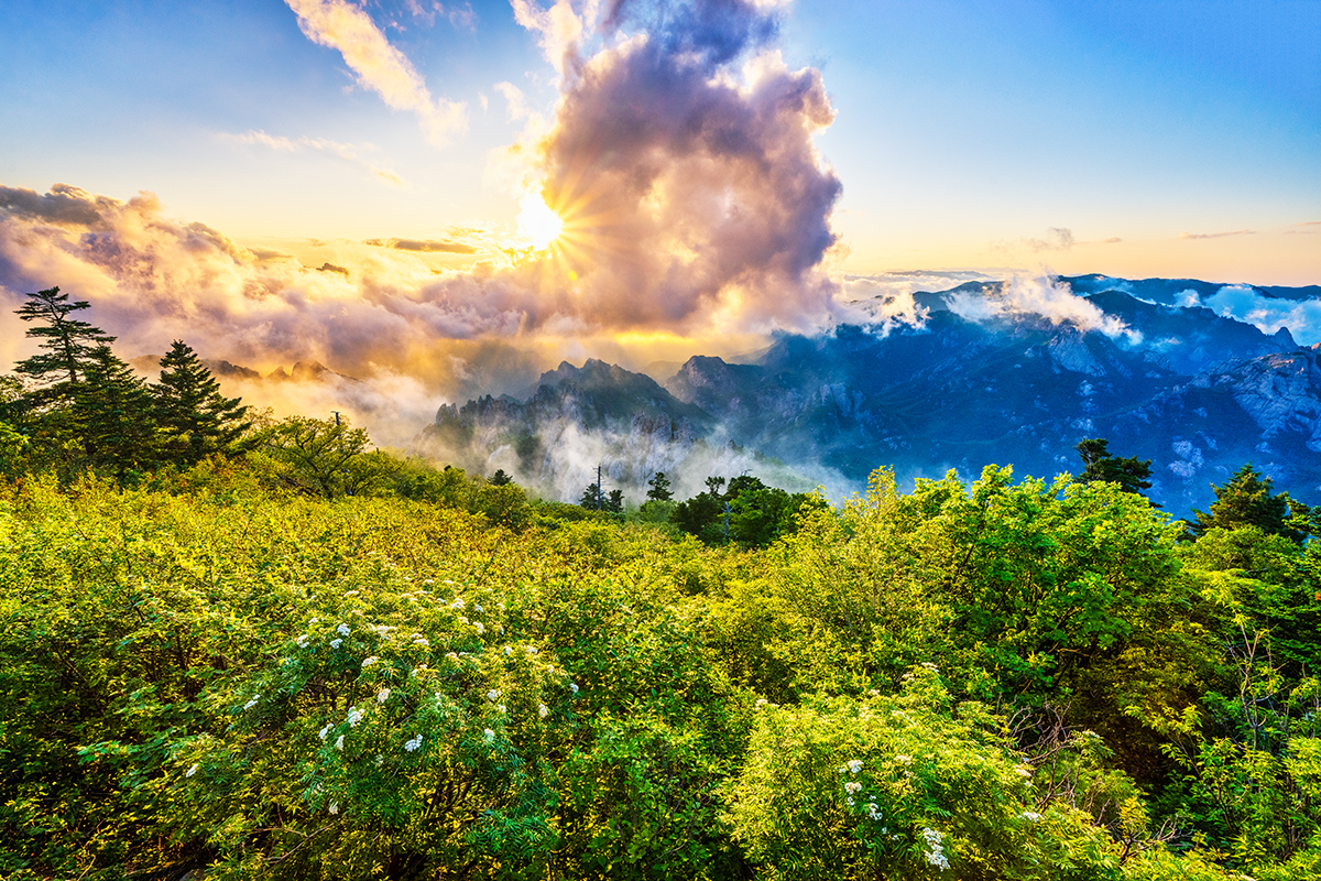 PHOTO BY  | NIKON Z 7_2 | 2024:06:02 19:21:51 | ISO-200 | 1/100 sec | f 11 | 16.5 mm | EV=0 | ● WIDTH:1200 pixels  HEIGHT:800 pixels