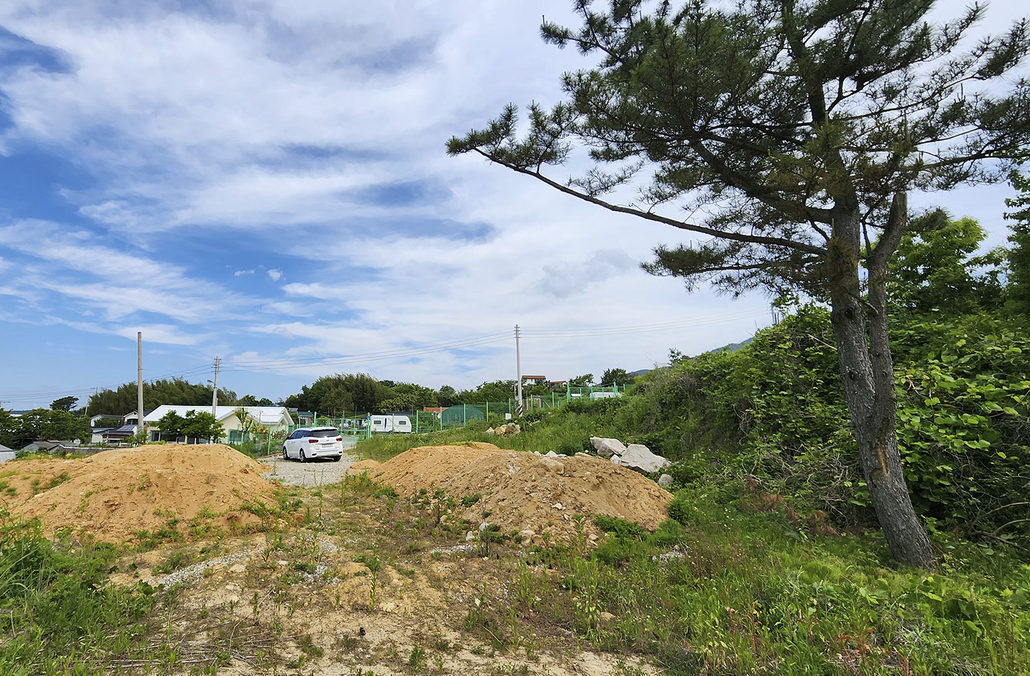 PHOTO BY  | Galaxy S23 Ultra | 2024:06:01 11:36:59 | ISO-125 | 1/60 sec | f 2.2 | 2.2 mm | EV=0 | ● WIDTH:1125 pixels  HEIGHT:1500 pixels