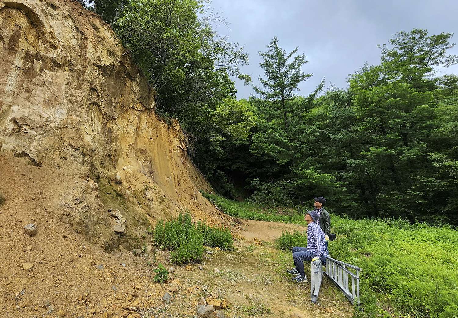 PHOTO BY  | Galaxy S23 Ultra | 2024:06:01 11:36:59 | ISO-125 | 1/60 sec | f 2.2 | 2.2 mm | EV=0 | ● WIDTH:1125 pixels  HEIGHT:1500 pixels