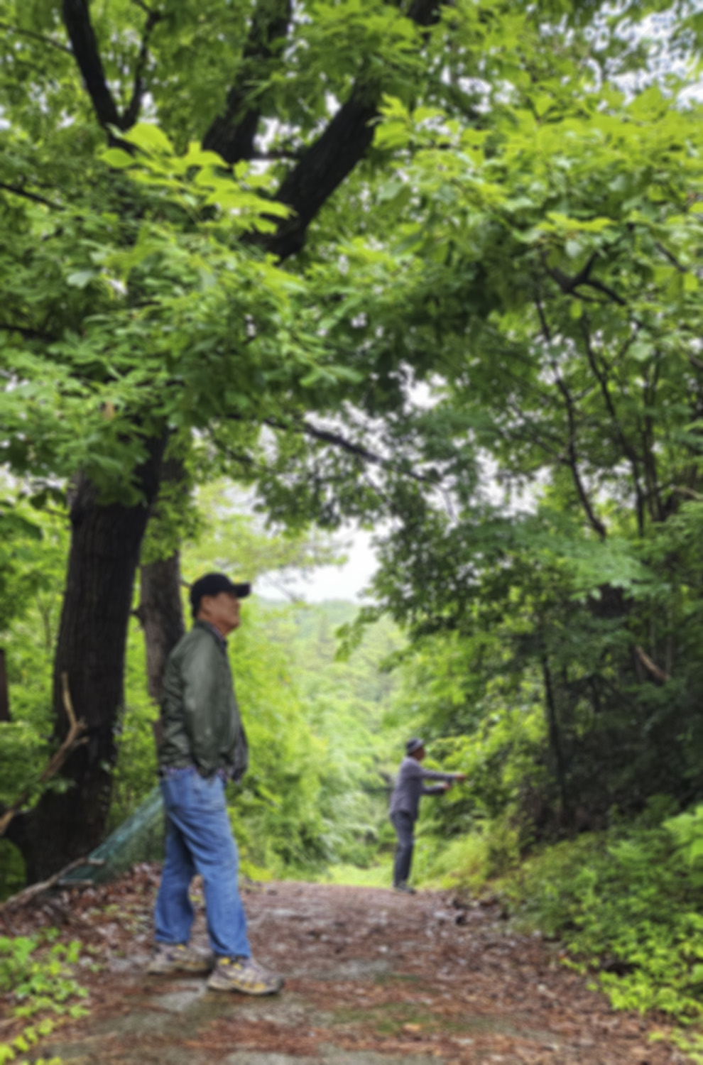 PHOTO BY  | Galaxy S23 Ultra | 2024:06:01 11:36:59 | ISO-125 | 1/60 sec | f 2.2 | 2.2 mm | EV=0 | ● WIDTH:1125 pixels  HEIGHT:1500 pixels